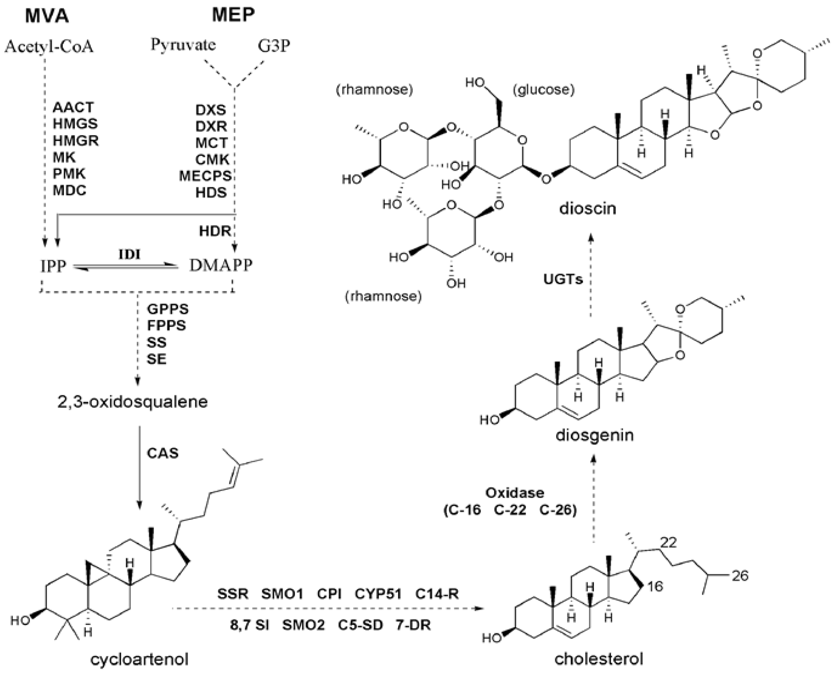 Molecules 23 00454 g001