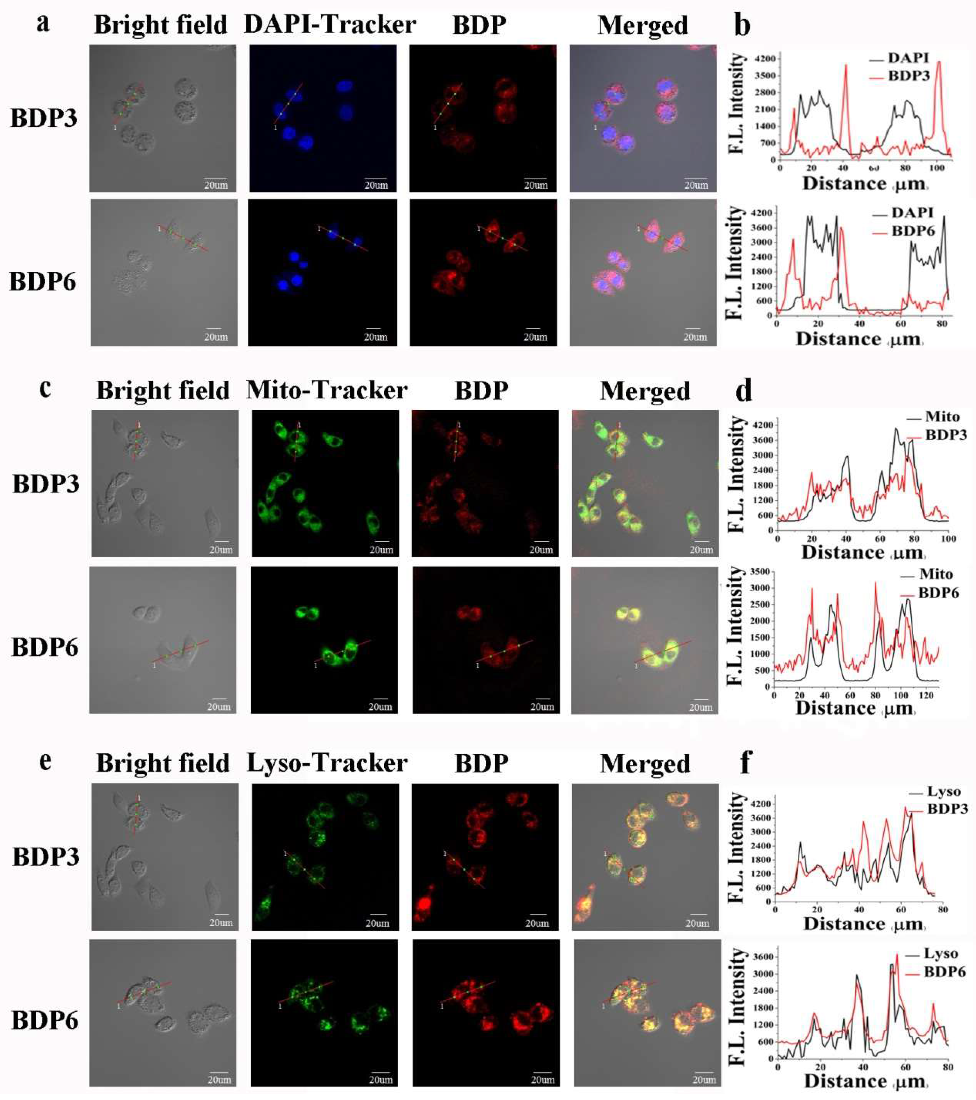 Molecules 23 00458 g006
