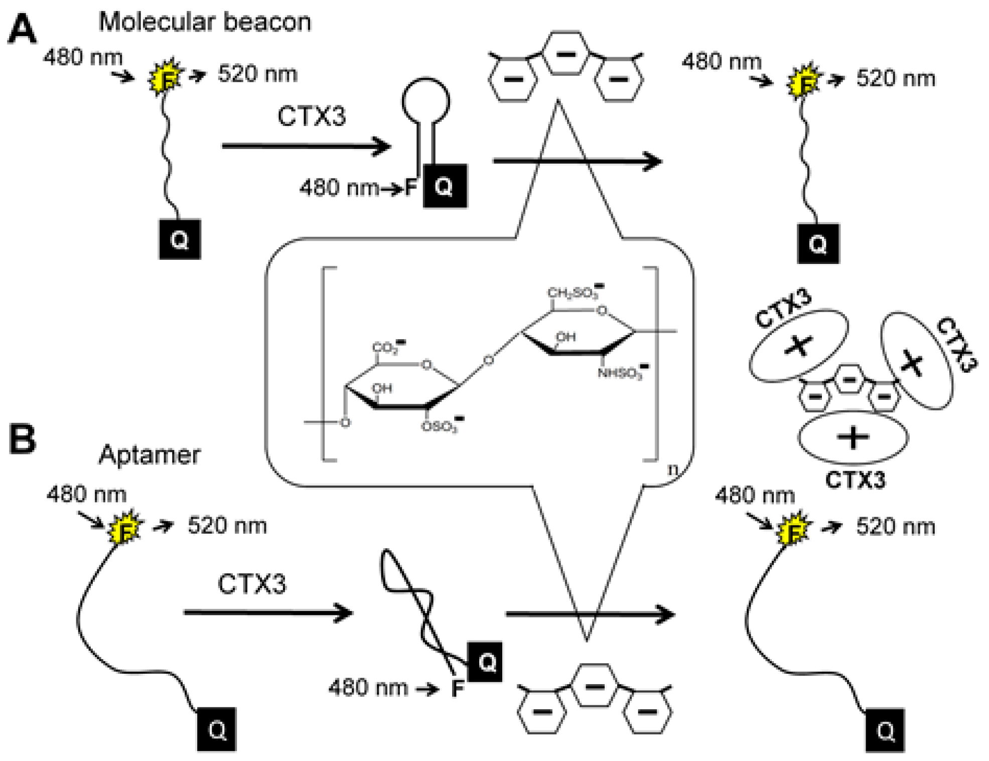 Molecules 23 00460 g001