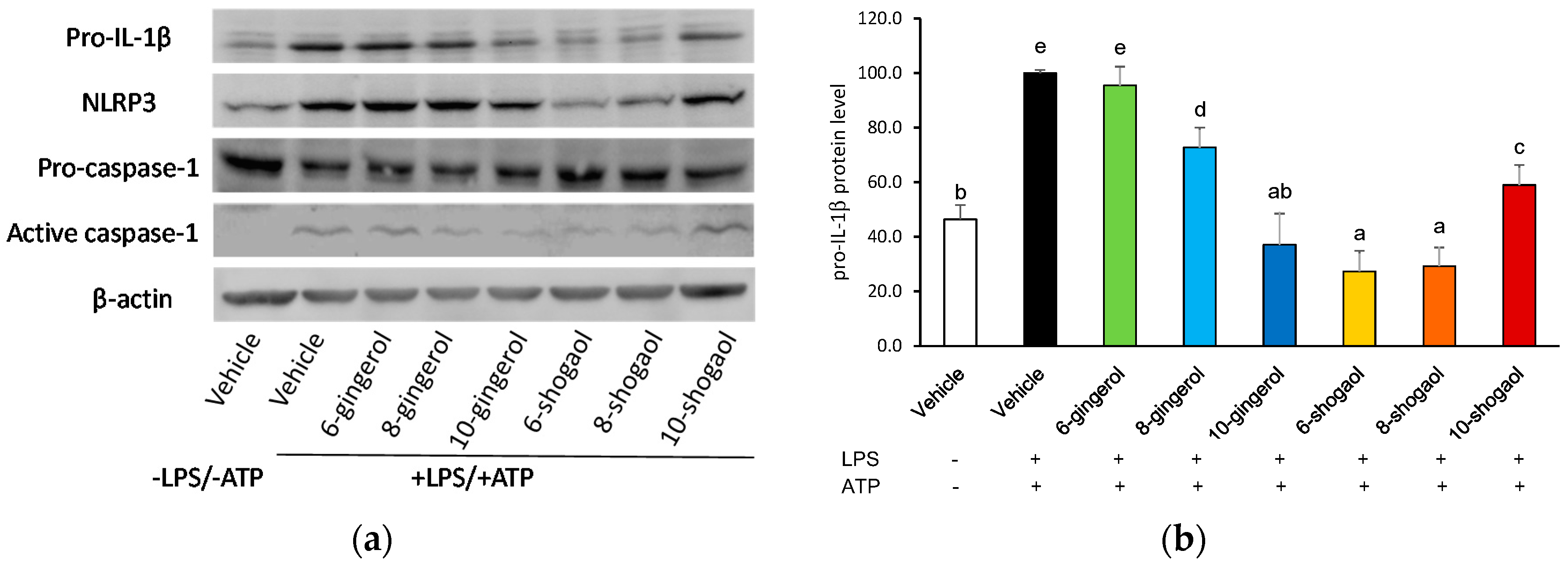 Molecules 23 00466 g003a