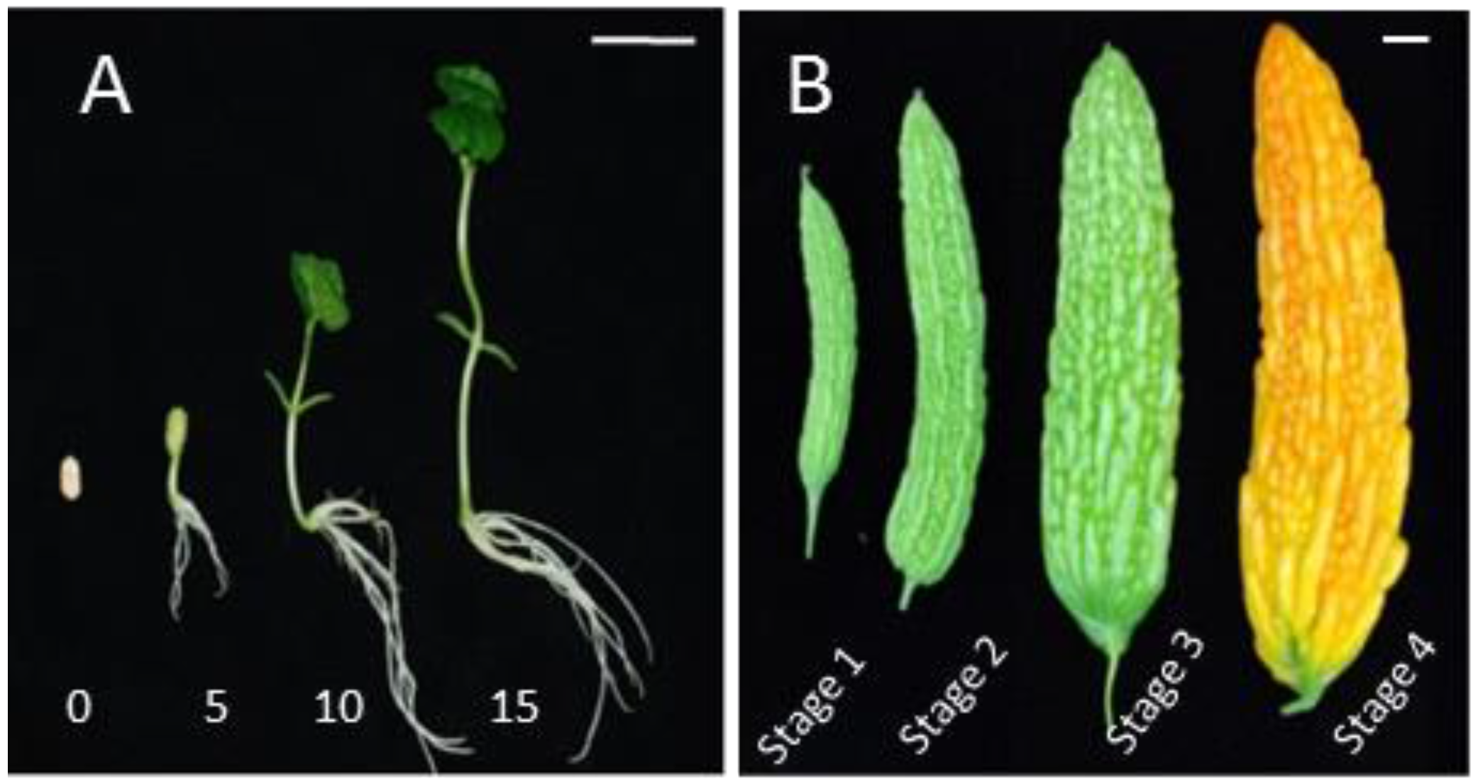 Molecules 23 00469 g005