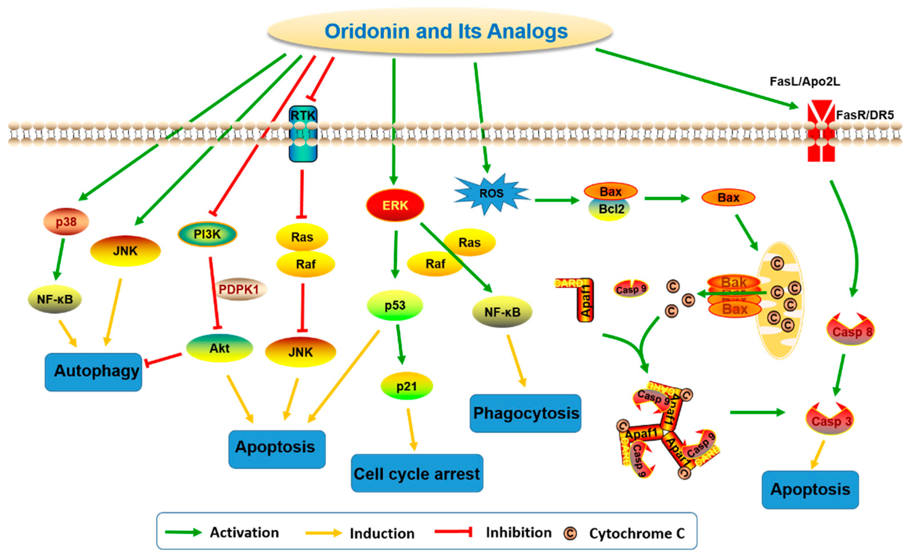 Molecules 23 00474 g002