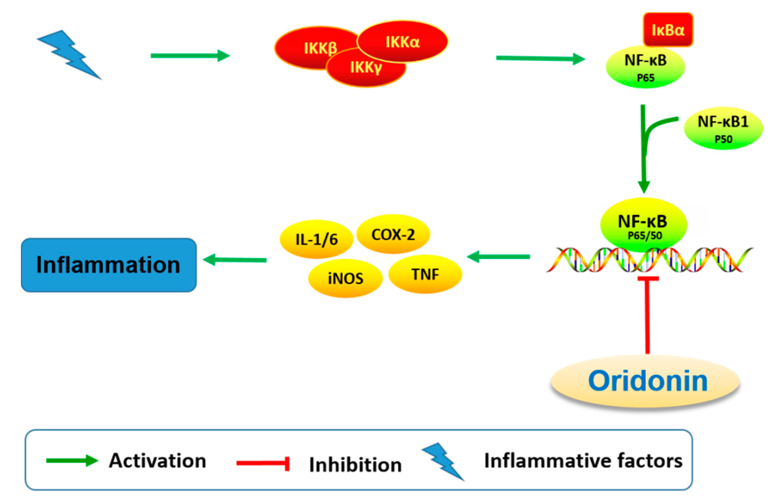 Molecules 23 00474 g006