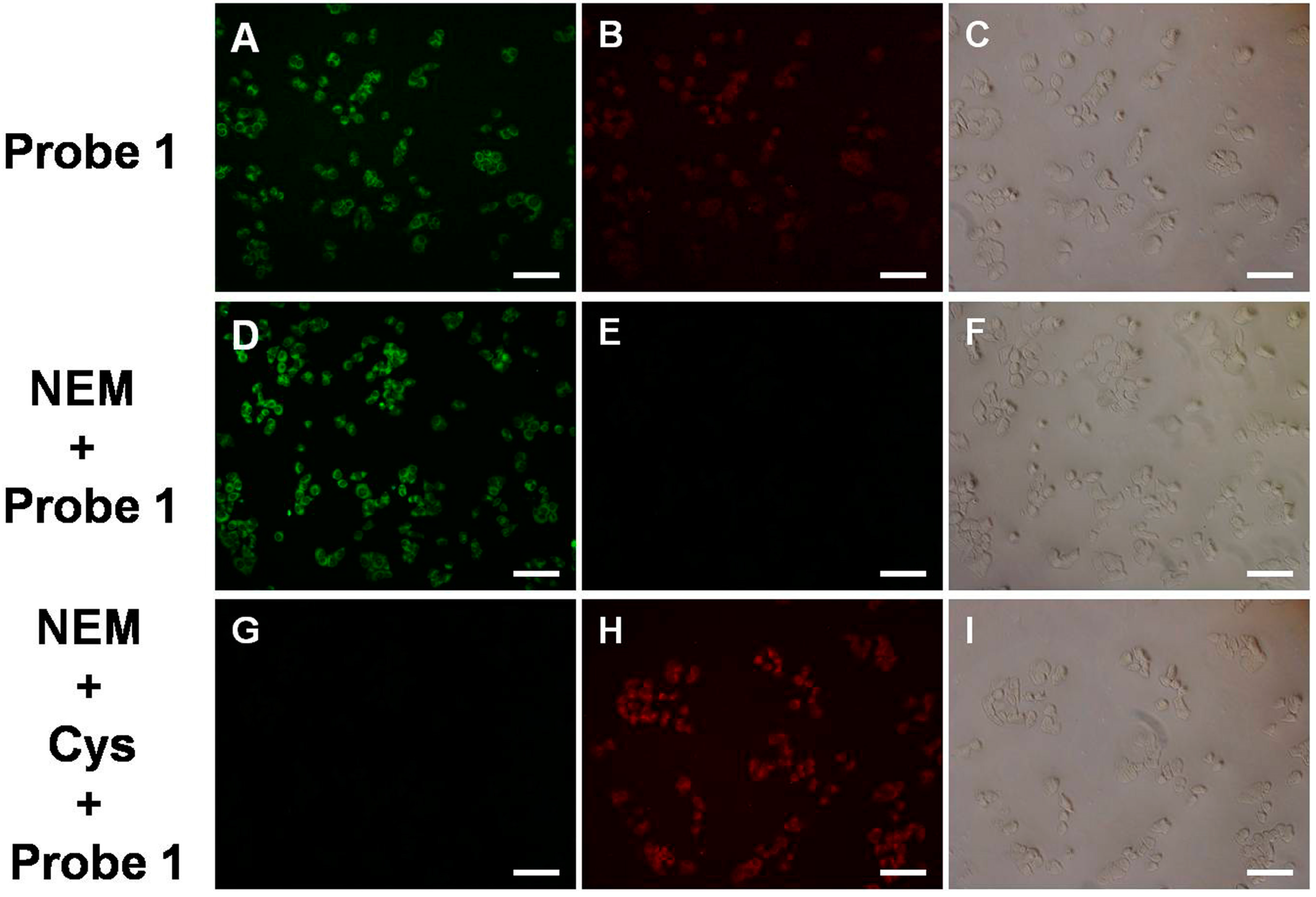Molecules 23 00475 g003