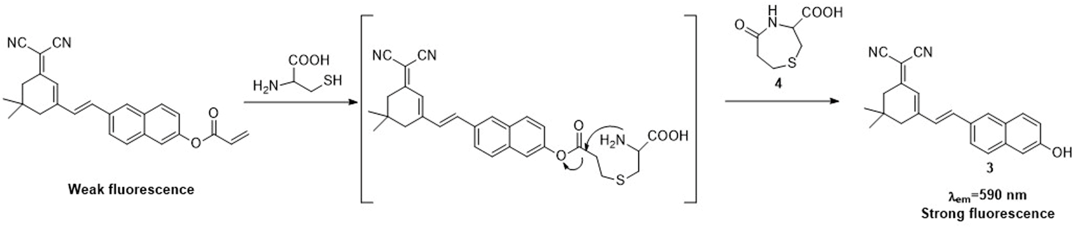 Molecules 23 00475 sch002