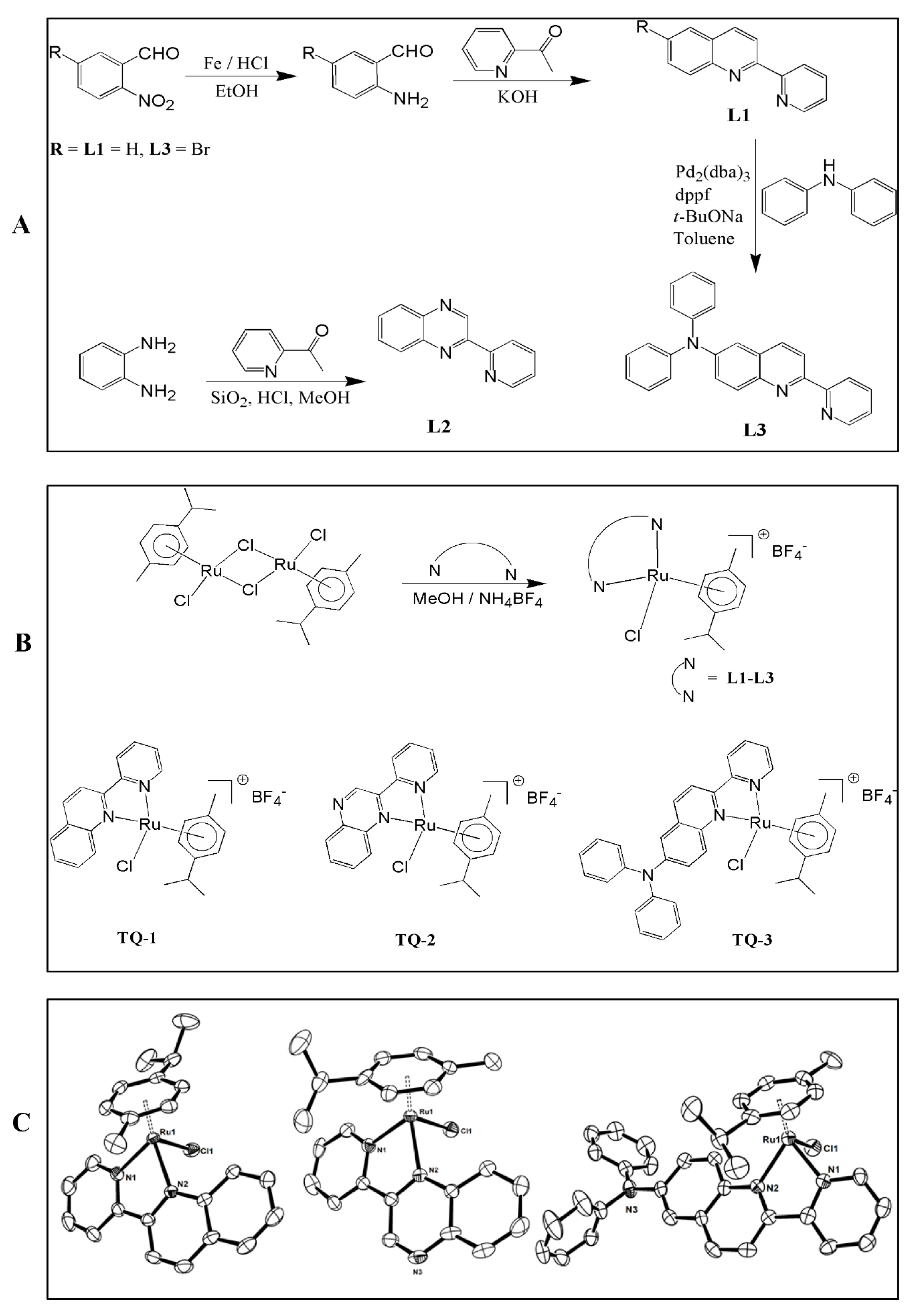 Molecules 23 00477 g001