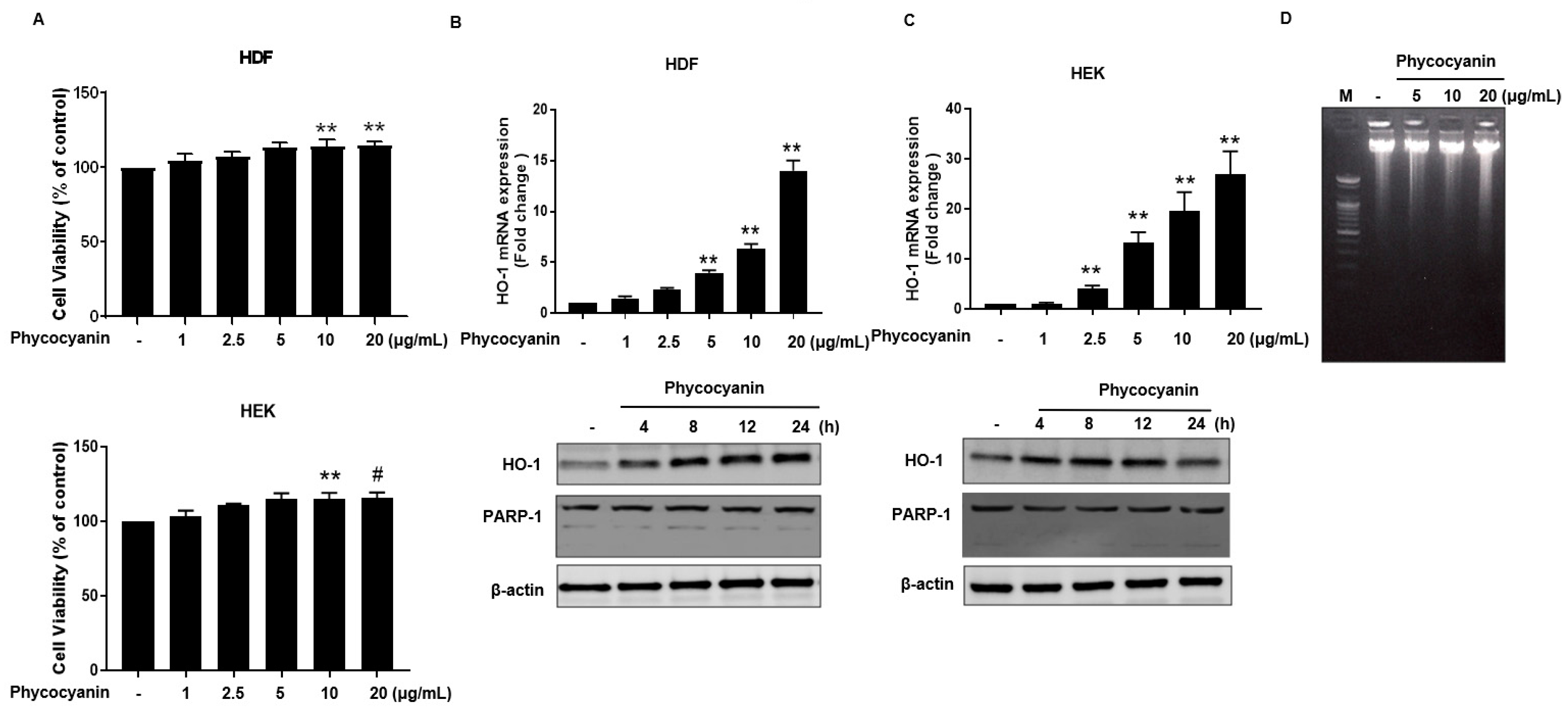 Molecules 23 00478 g002