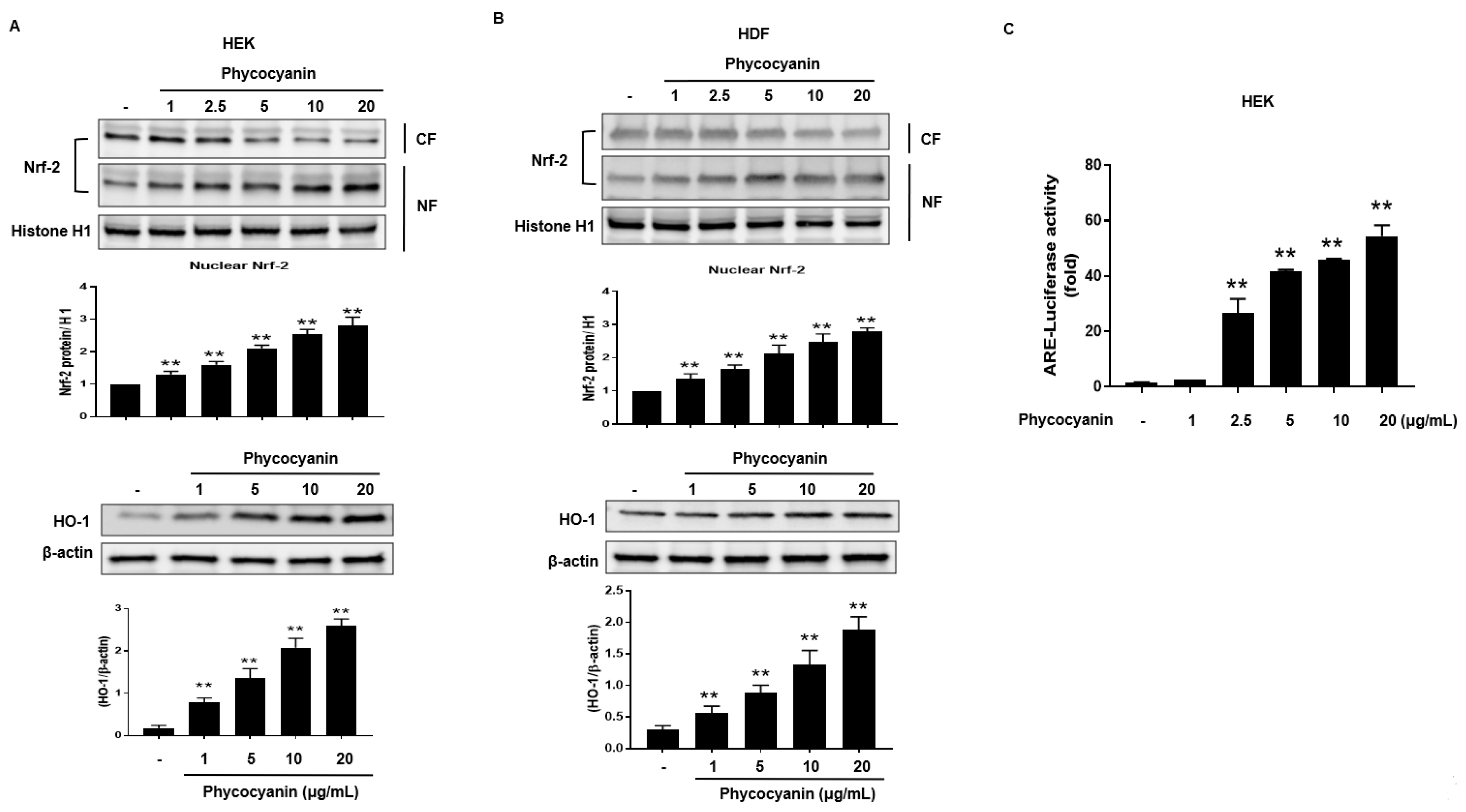 Molecules 23 00478 g003