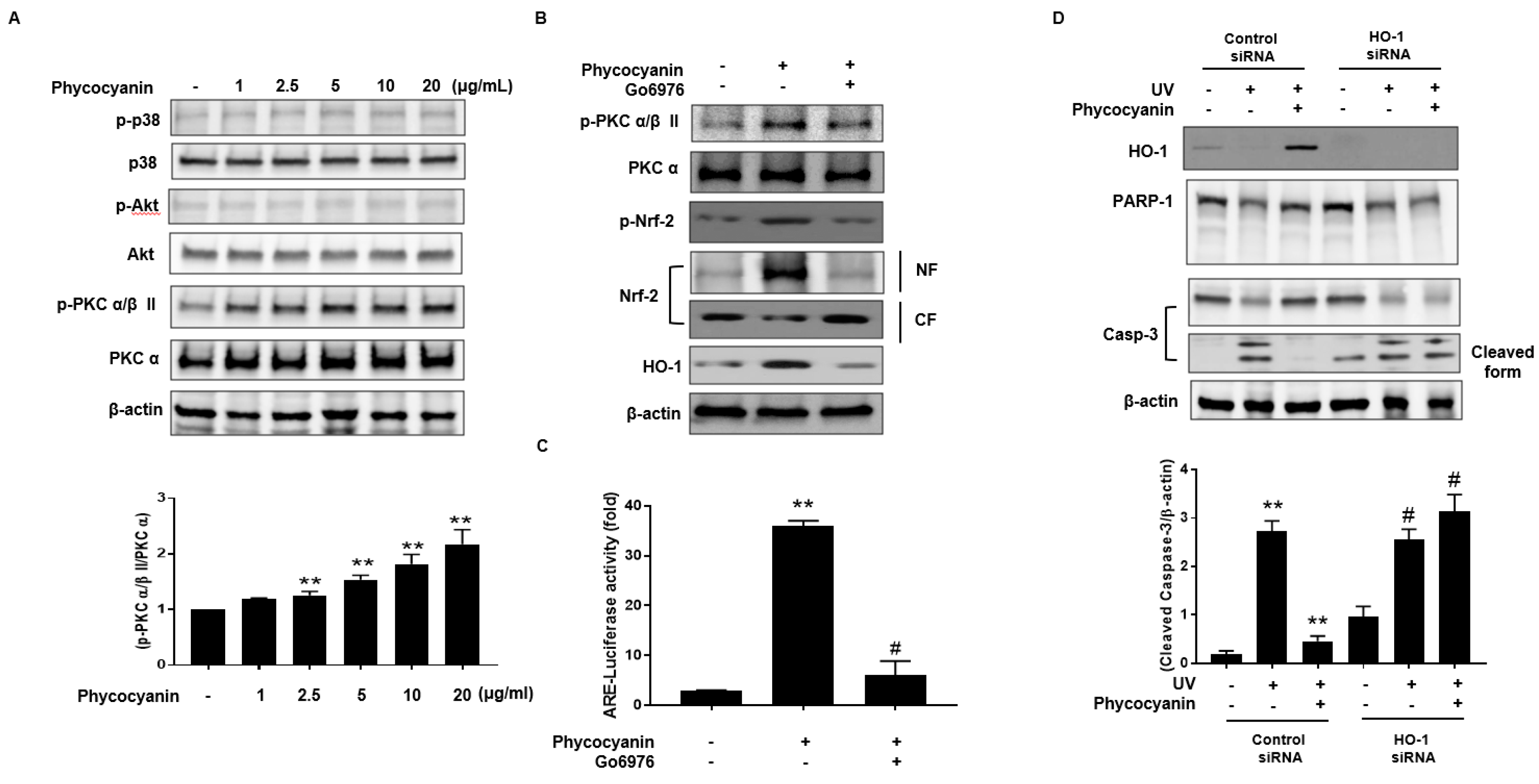 Molecules 23 00478 g005