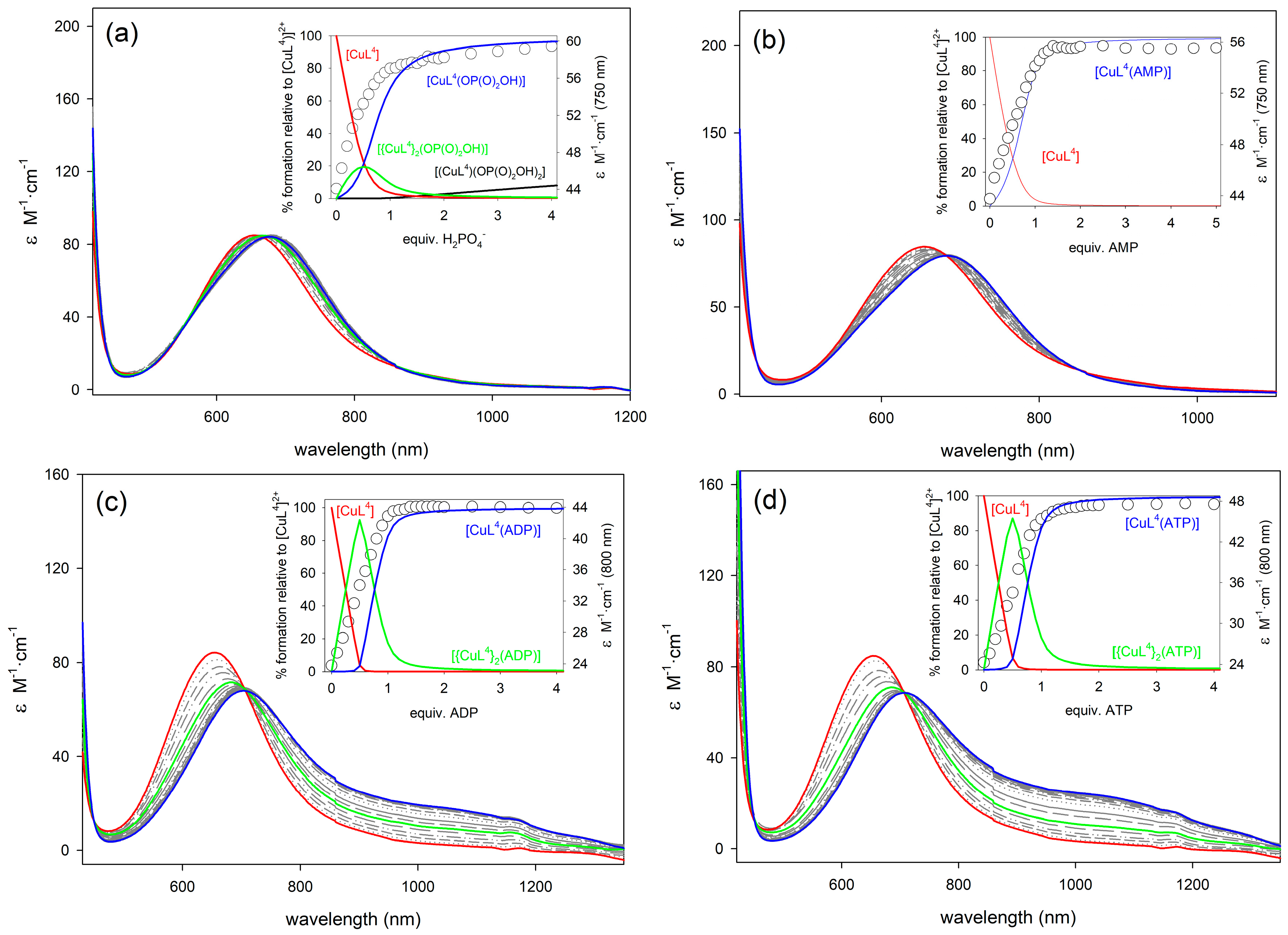 Molecules 23 00479 g004