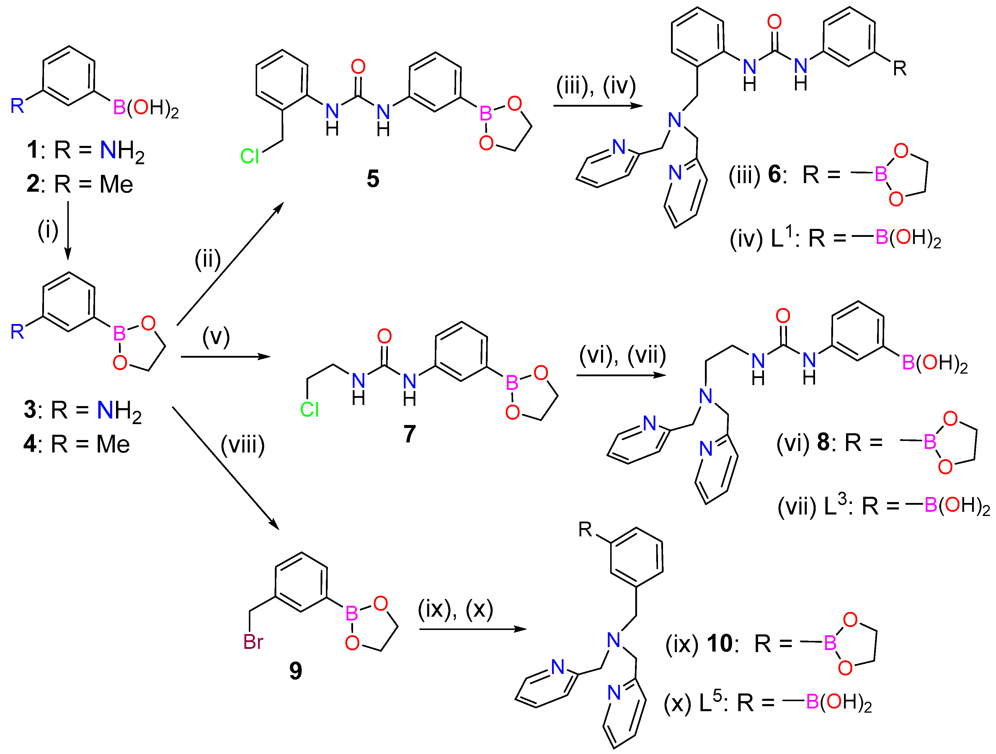 Molecules 23 00479 sch001