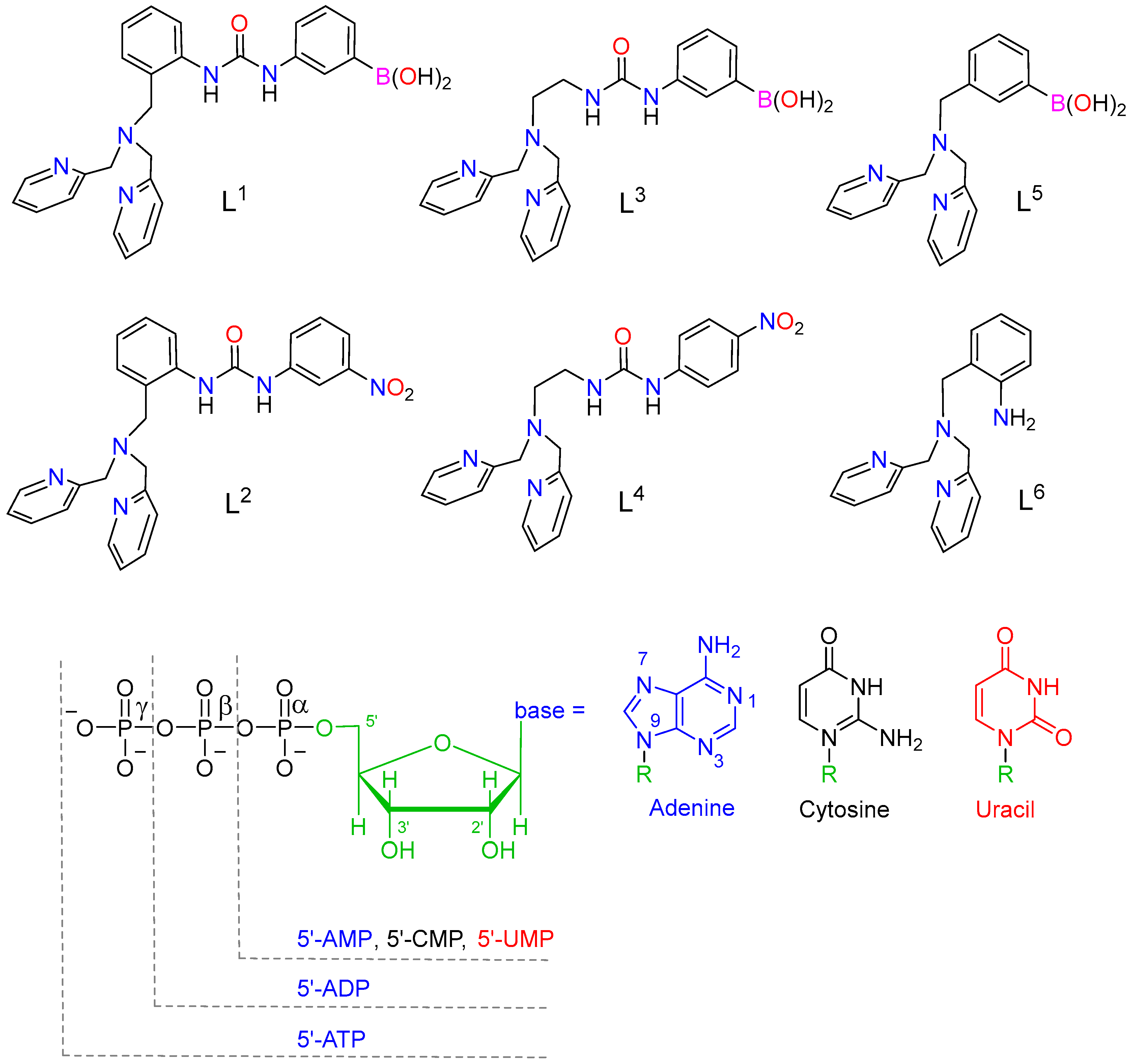 Molecules 23 00479 sch003