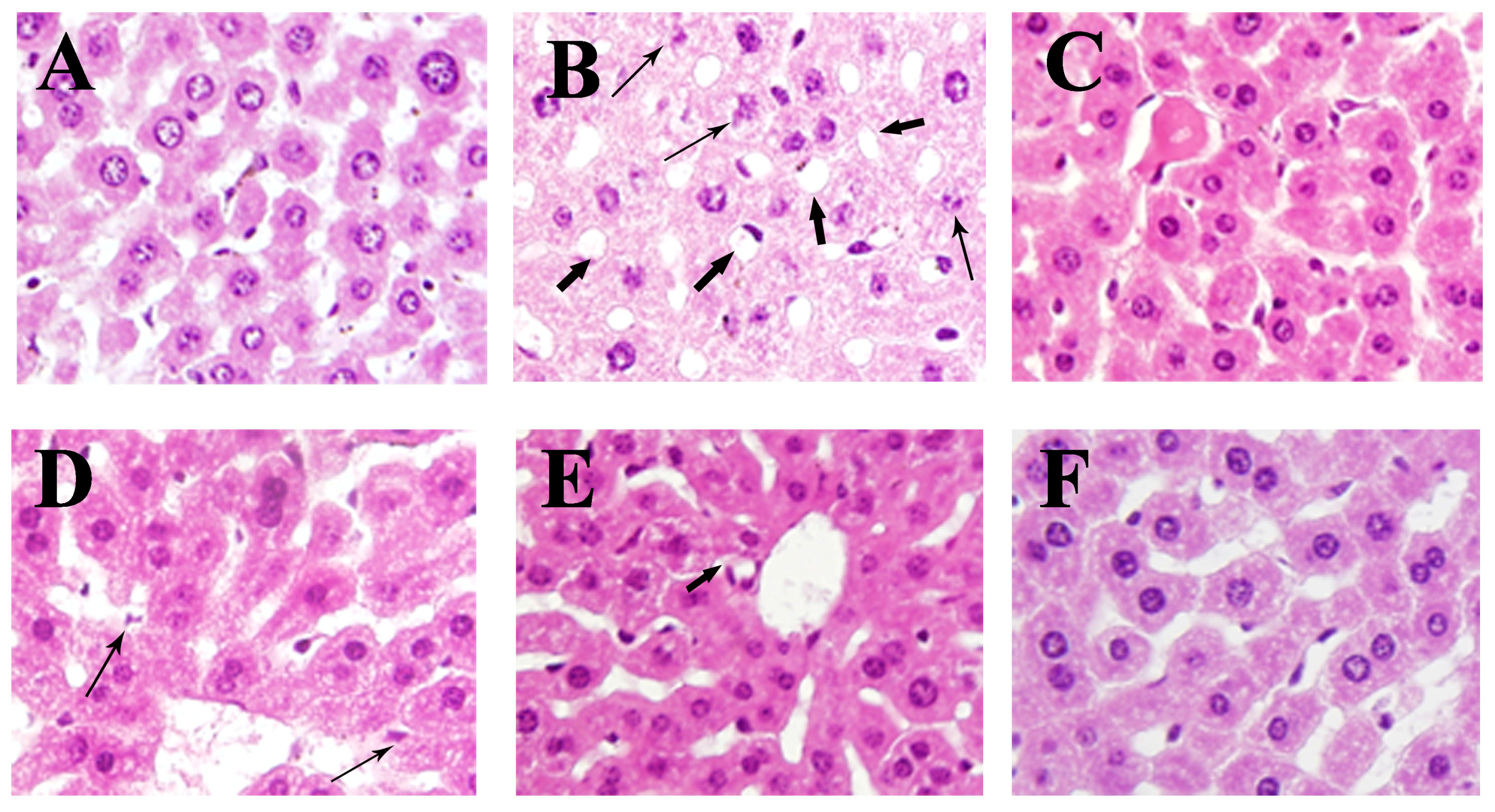 Molecules 23 00481 g005