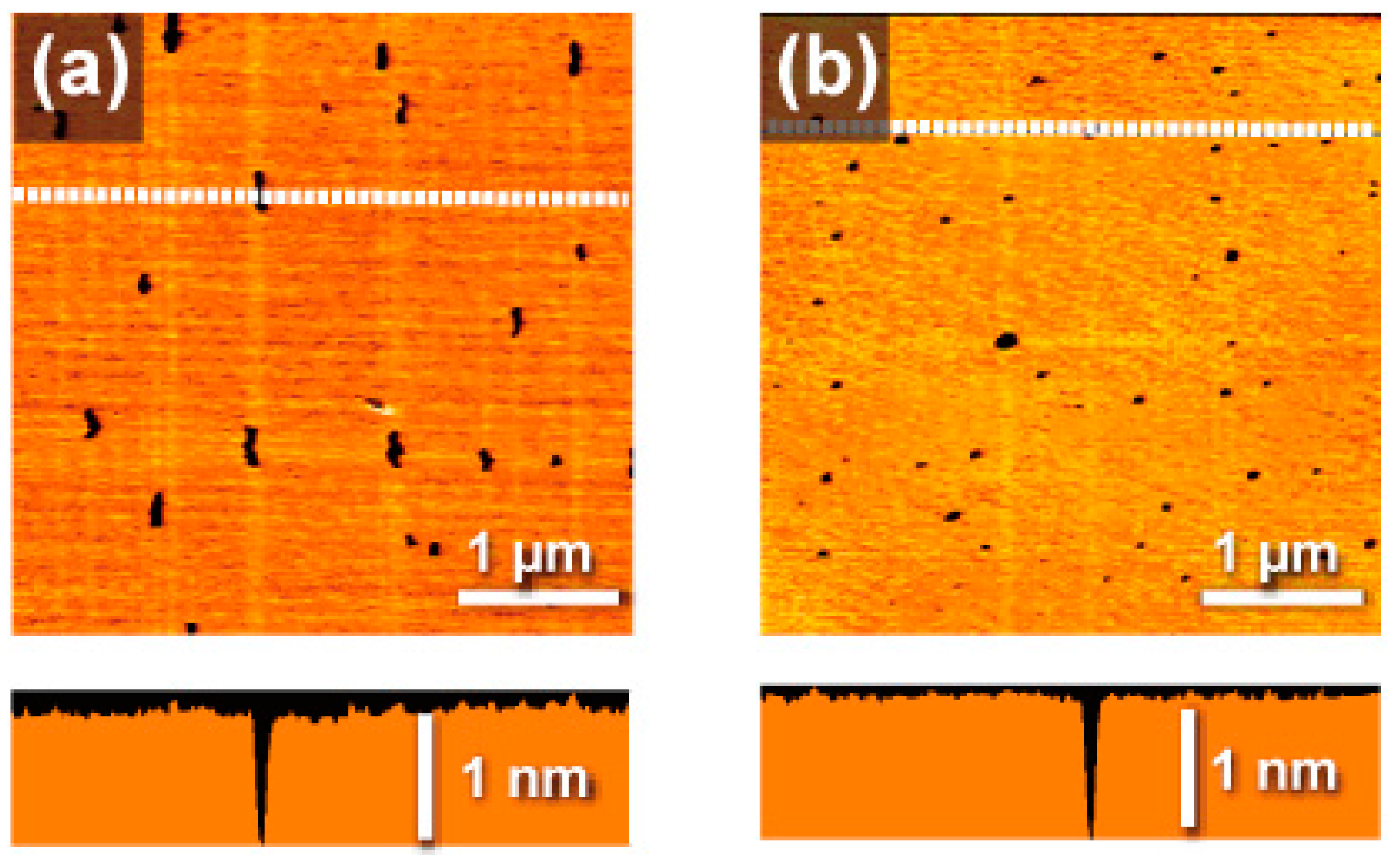 Molecules 23 00485 g002