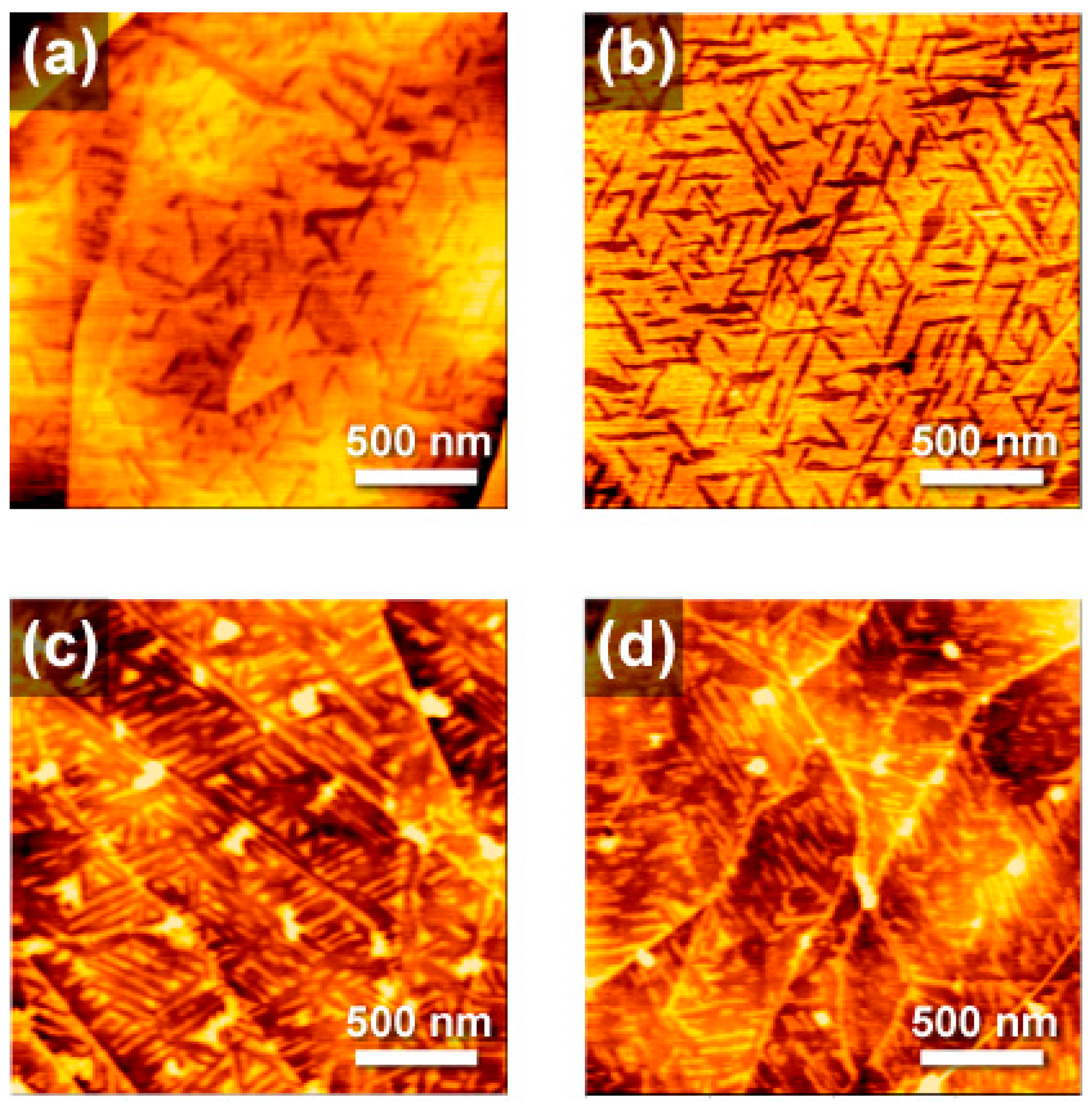 Molecules 23 00485 g003