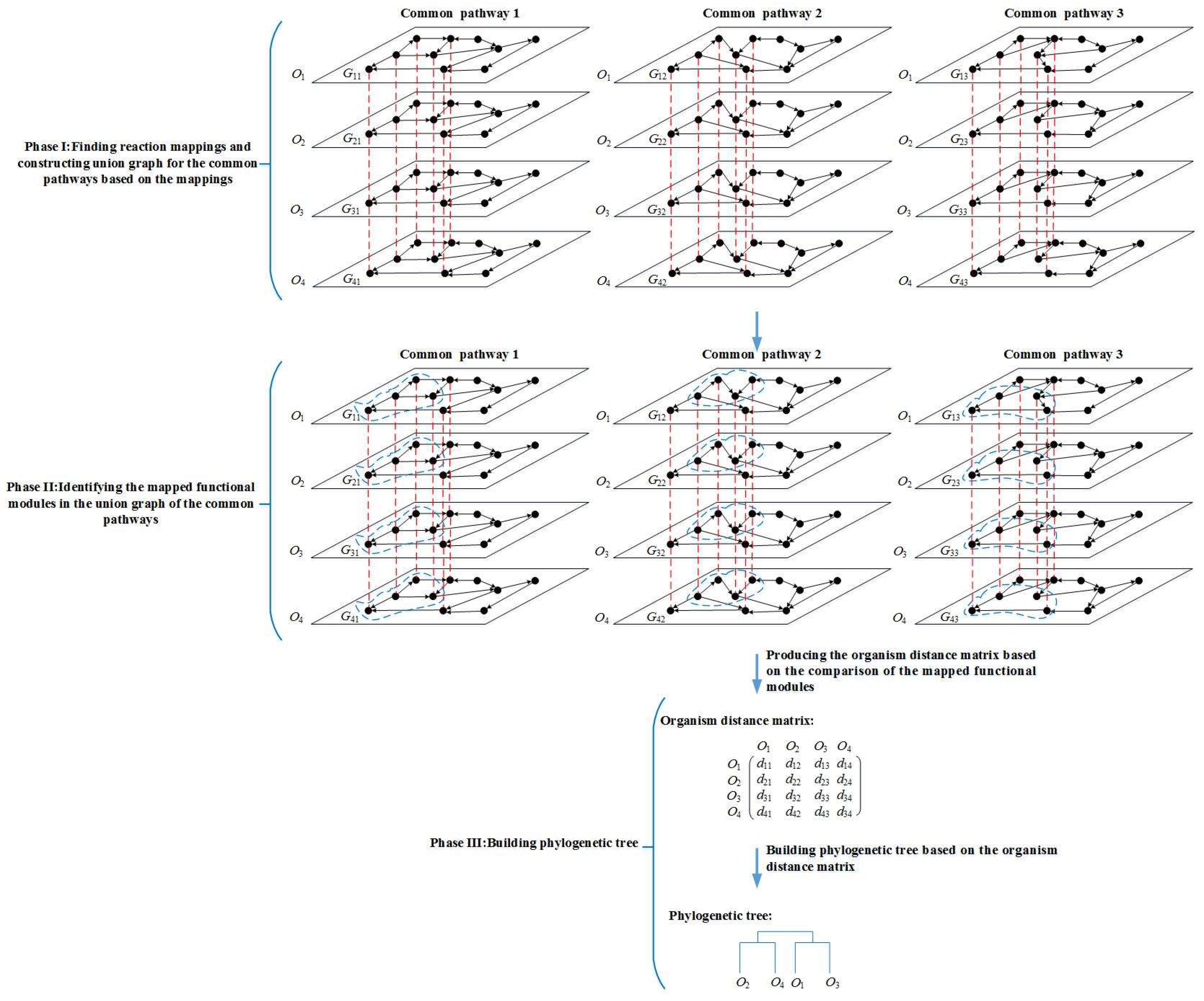 Molecules 23 00486 g001