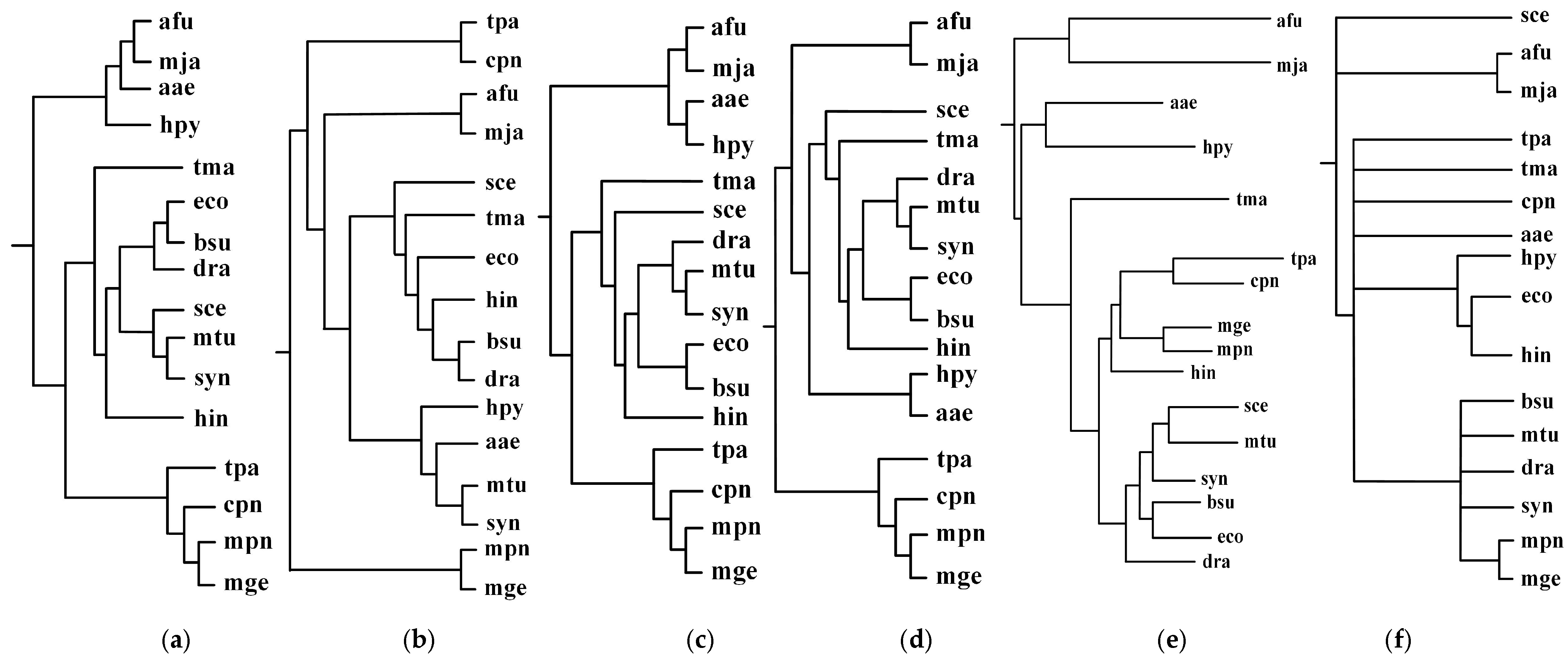 Molecules 23 00486 g002