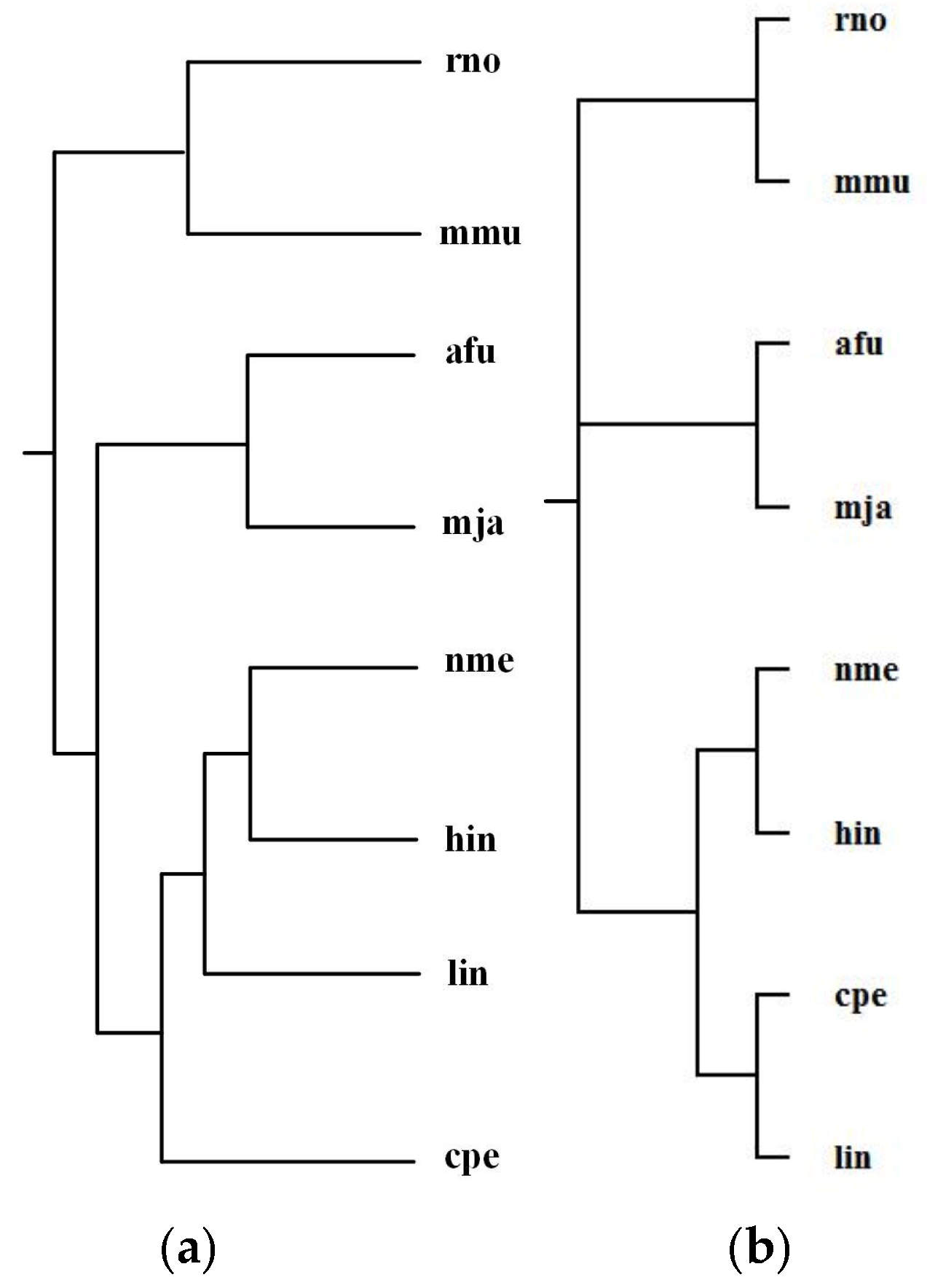 Molecules 23 00486 g006