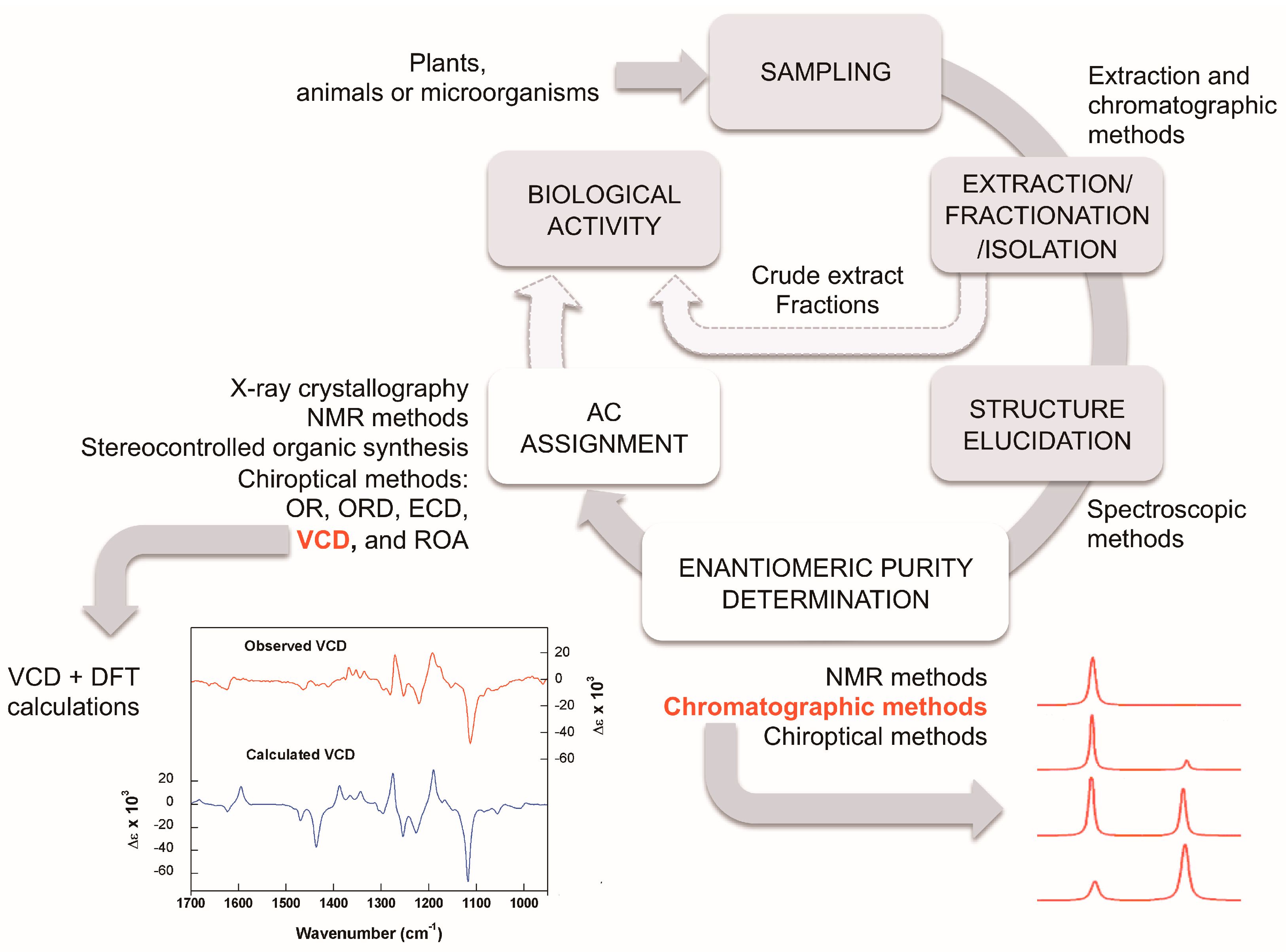 Molecules 23 00492 g005