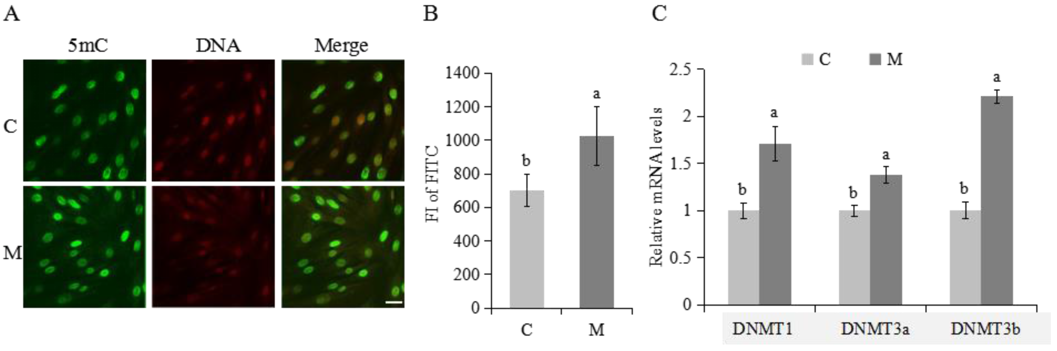 Molecules 23 00494 g005