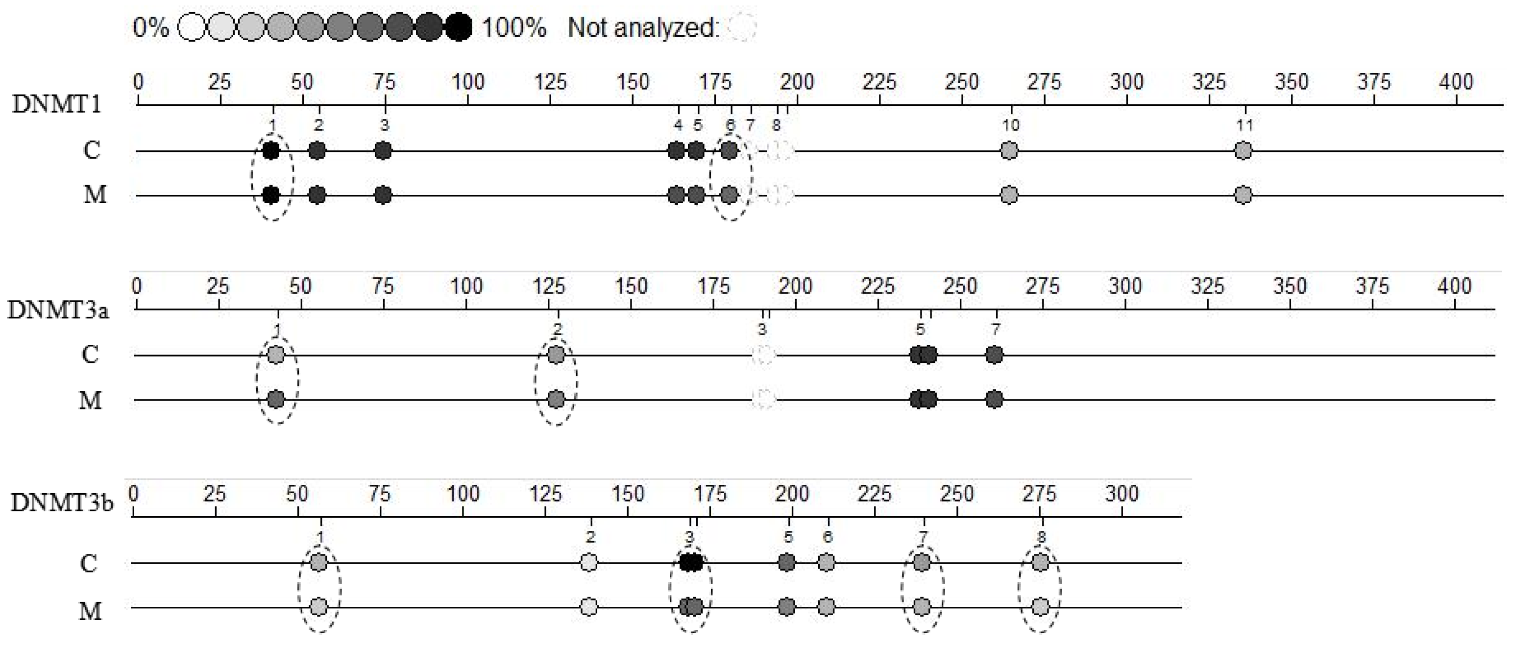 Molecules 23 00494 g006