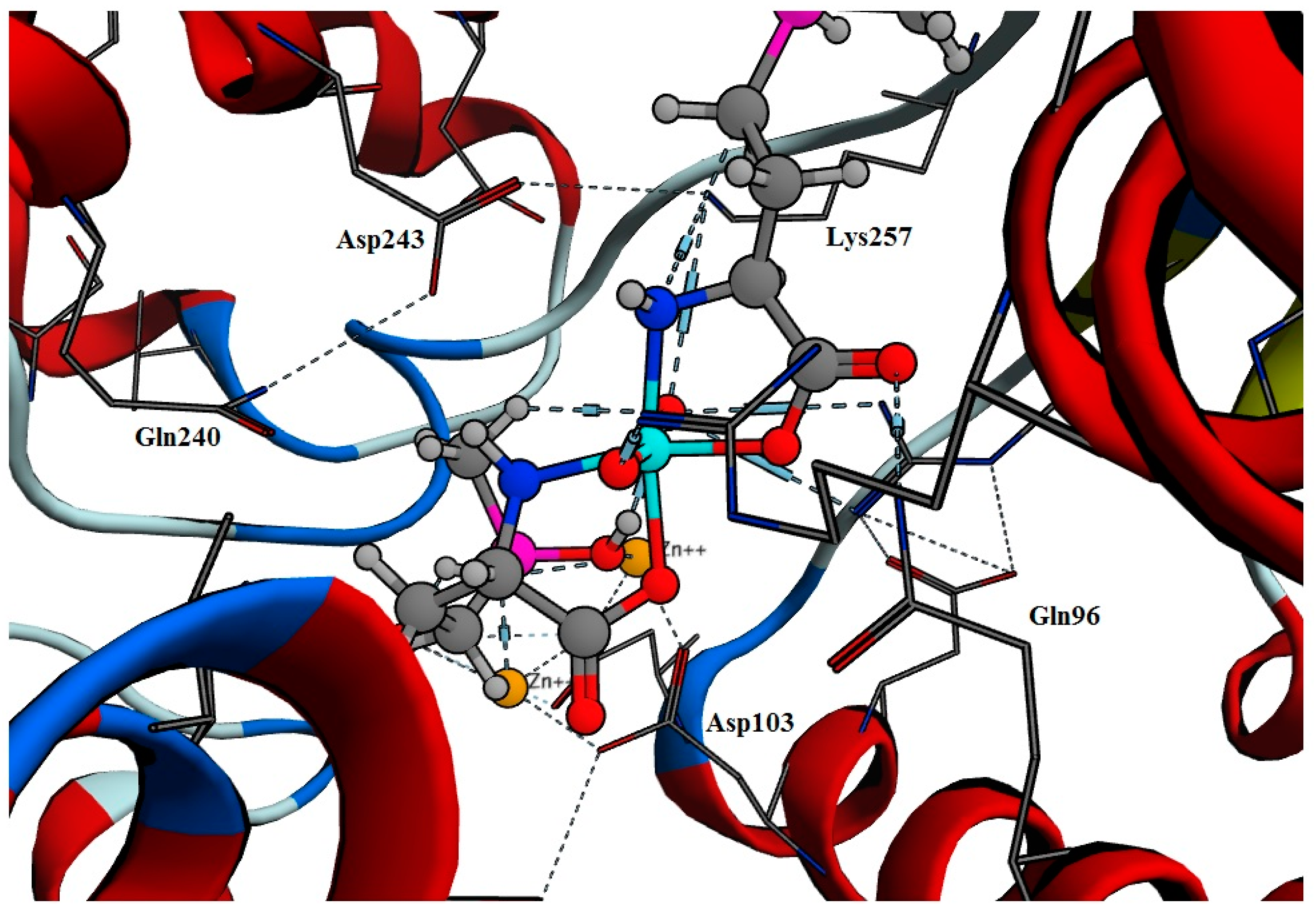 Molecules 23 00496 g004
