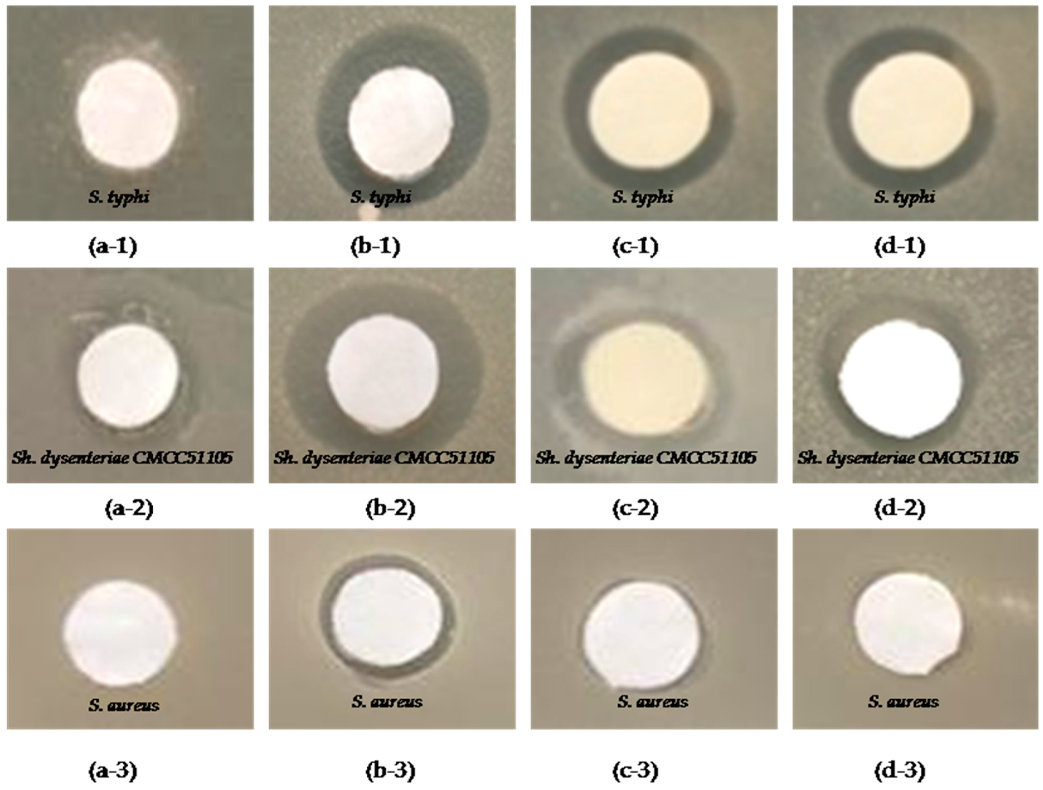 Molecules 23 00497 g007