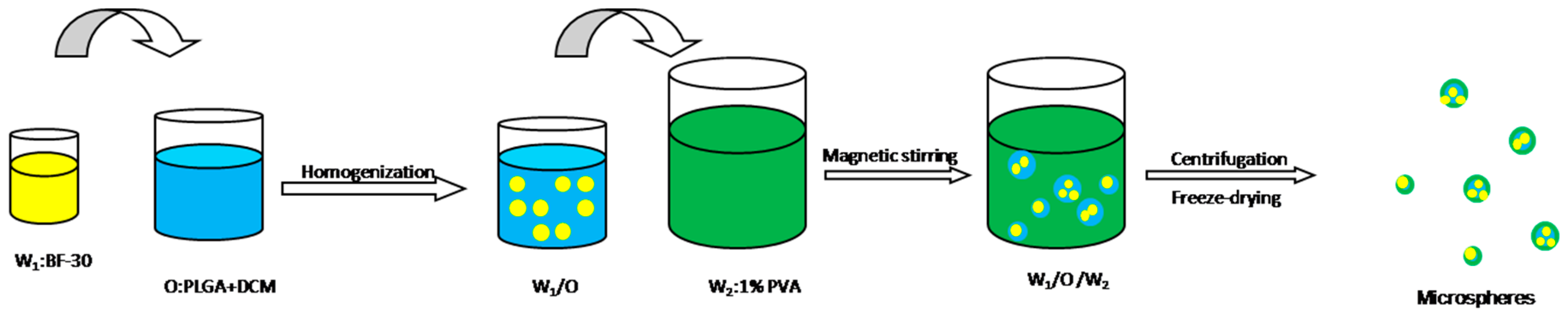 Molecules 23 00497 g008