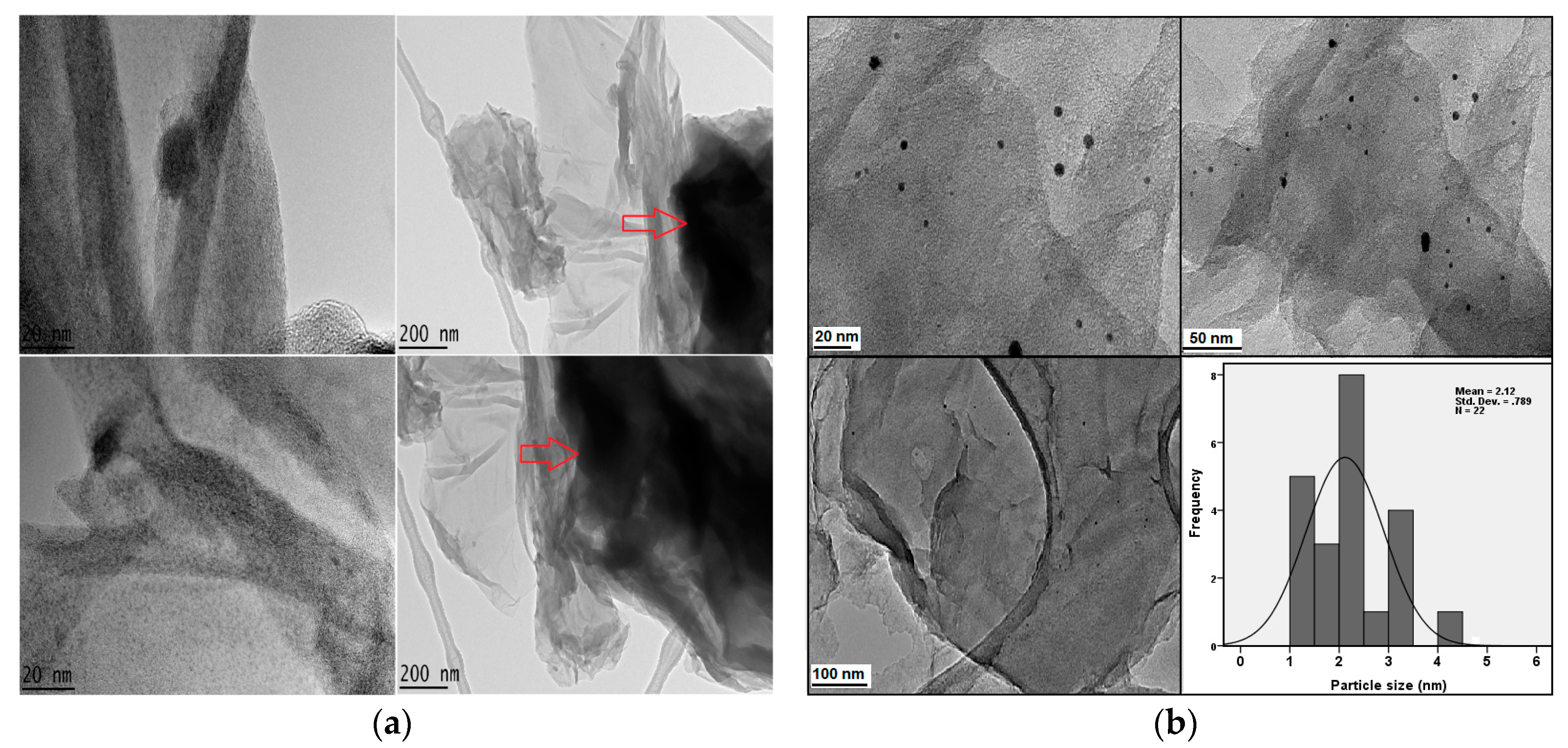 Molecules 23 00500 g005