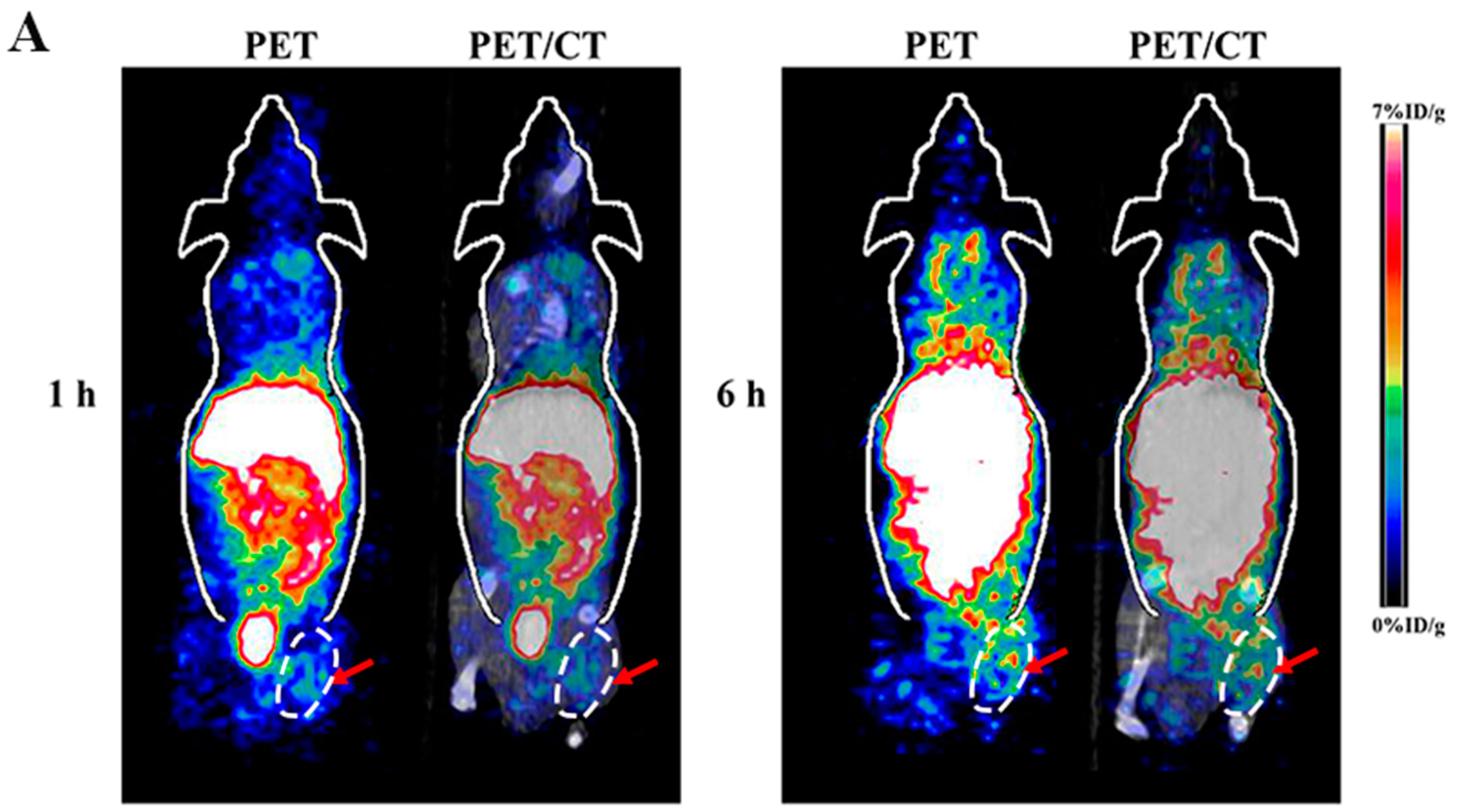 Molecules 23 00502 g001a