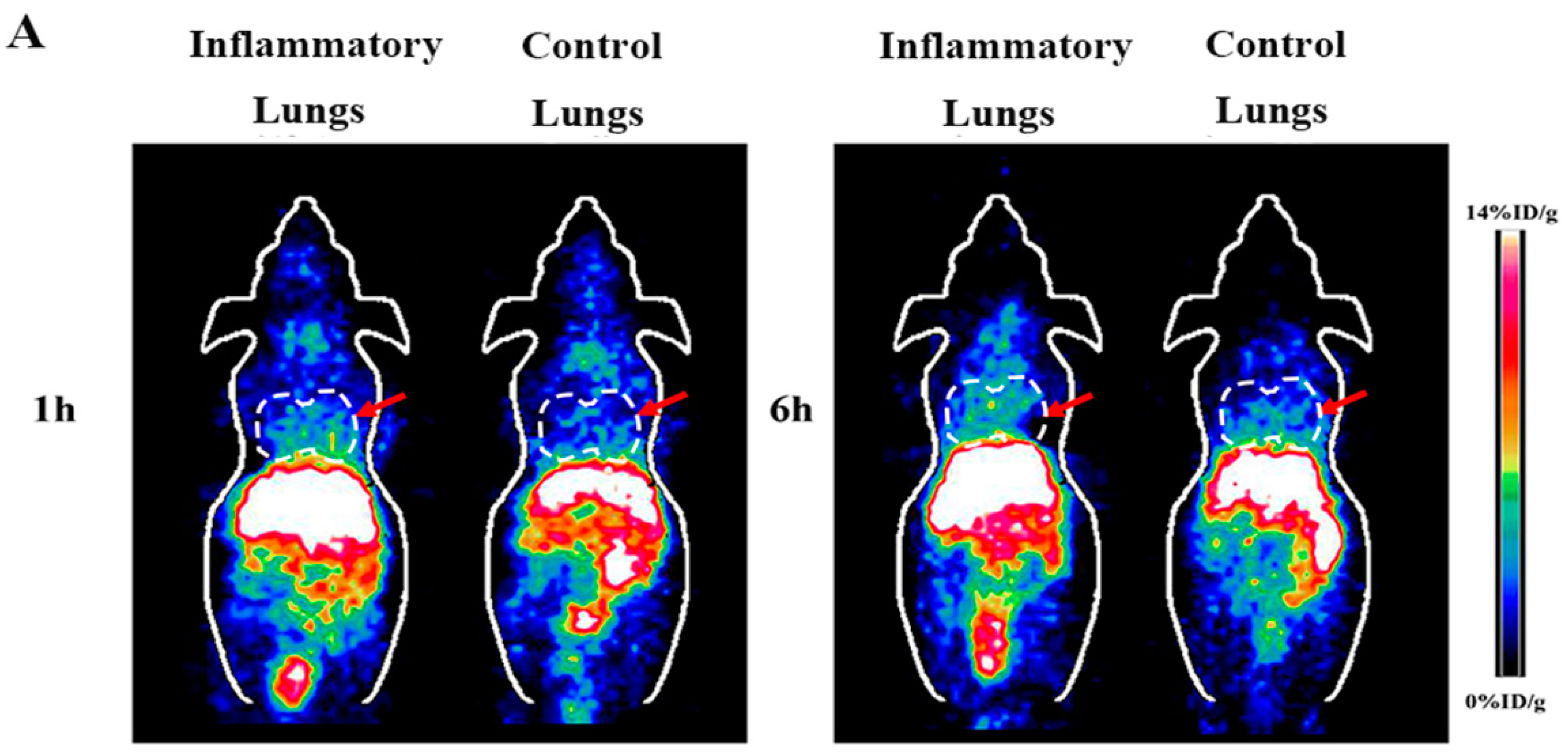 Molecules 23 00502 g002a