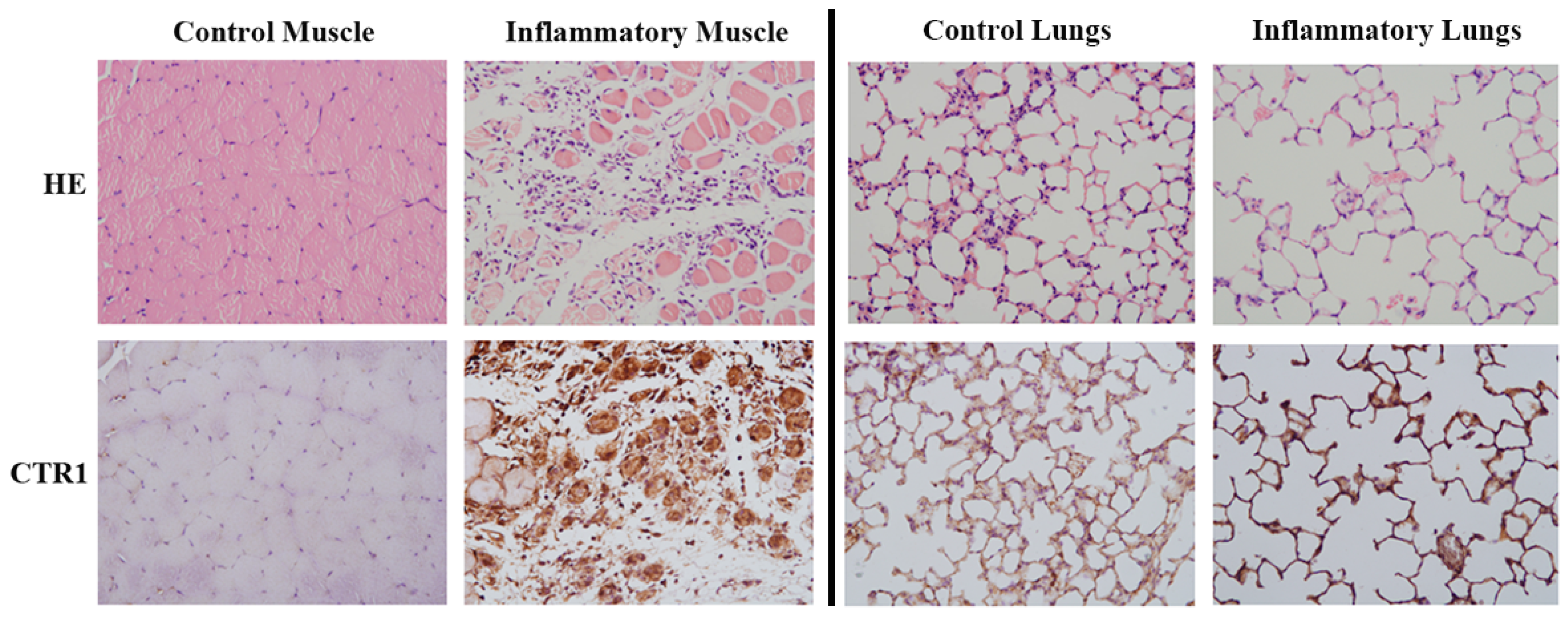 Molecules 23 00502 g003
