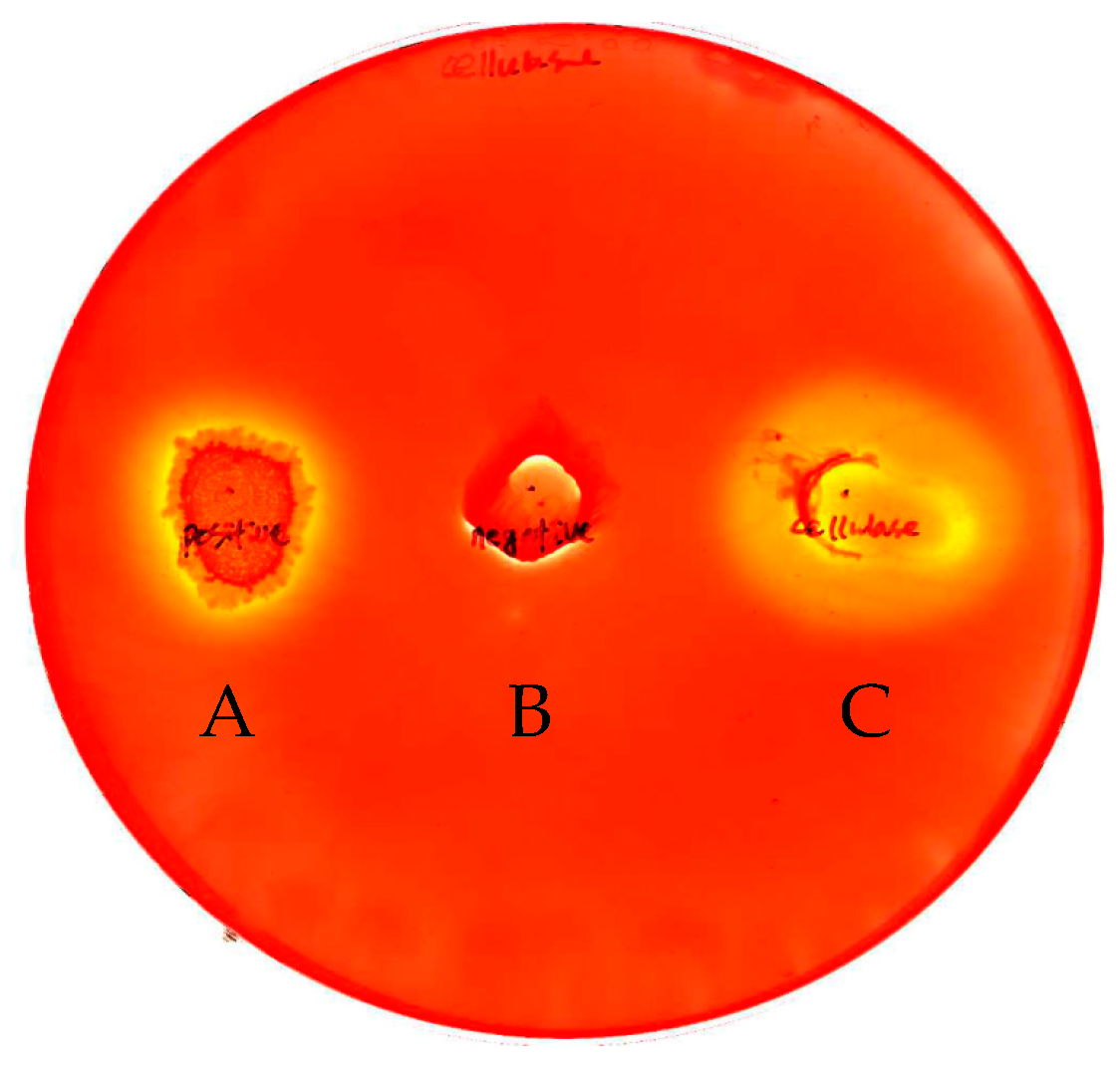 Molecules 23 00503 g002