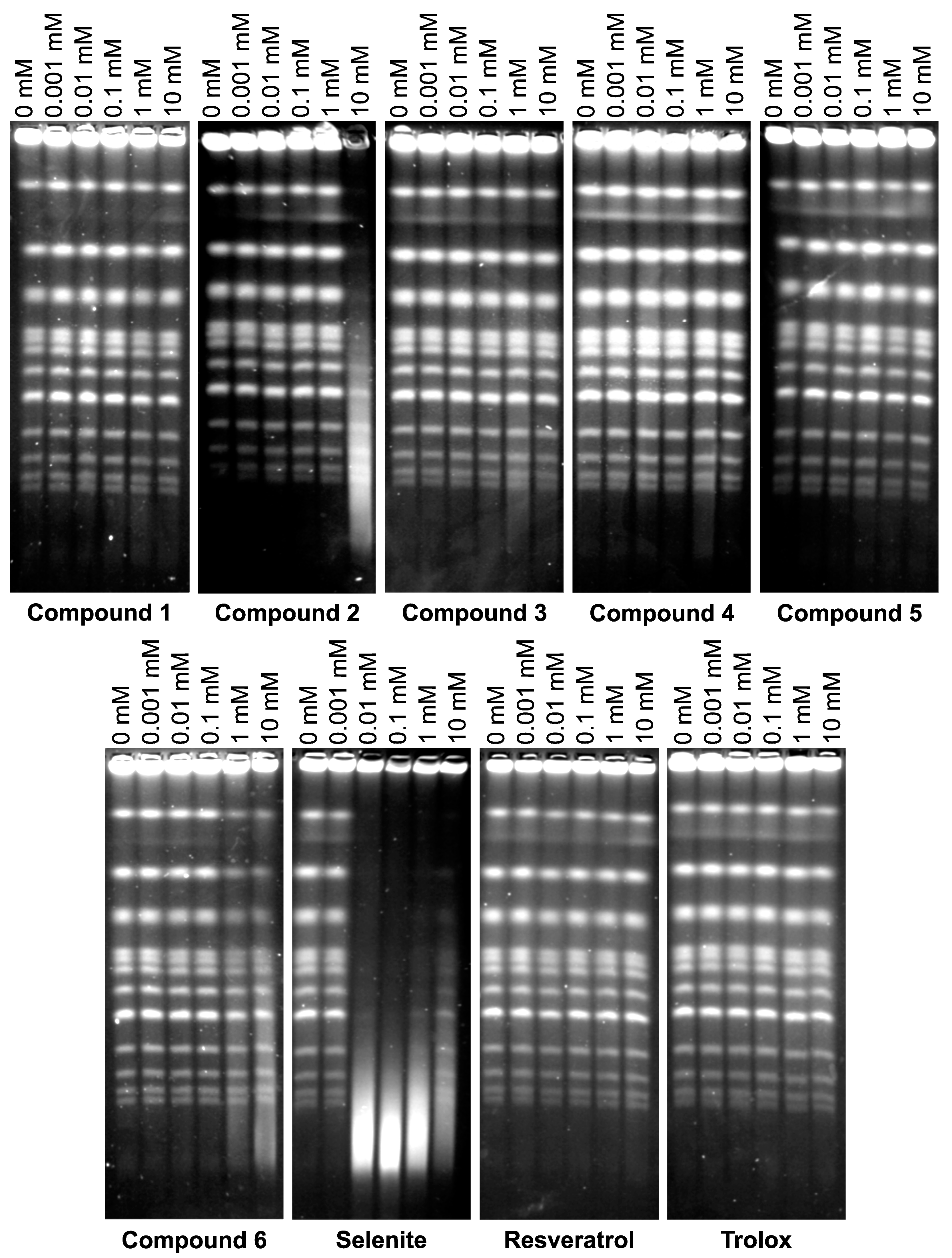 Molecules 23 00507 g004