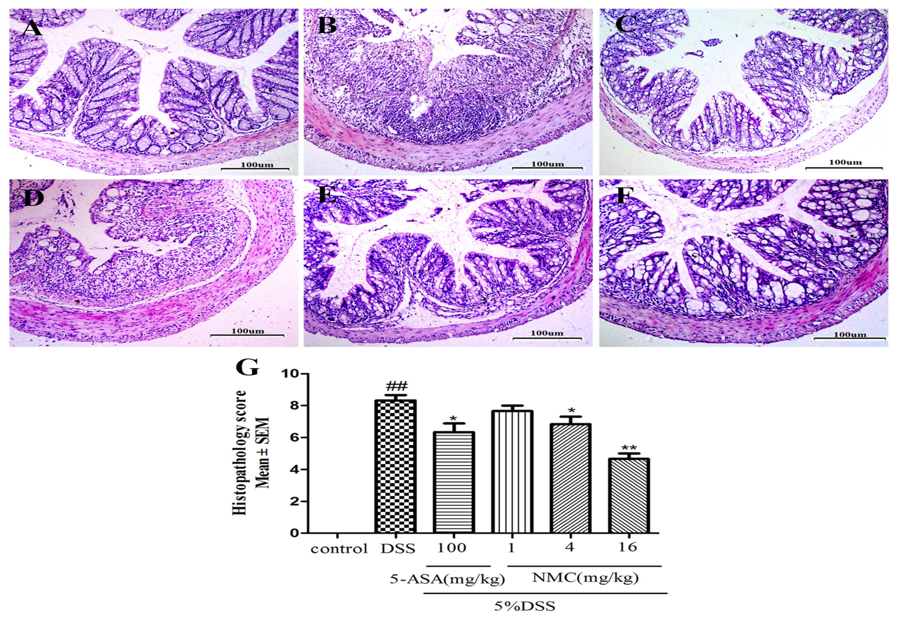 Molecules 23 00510 g003