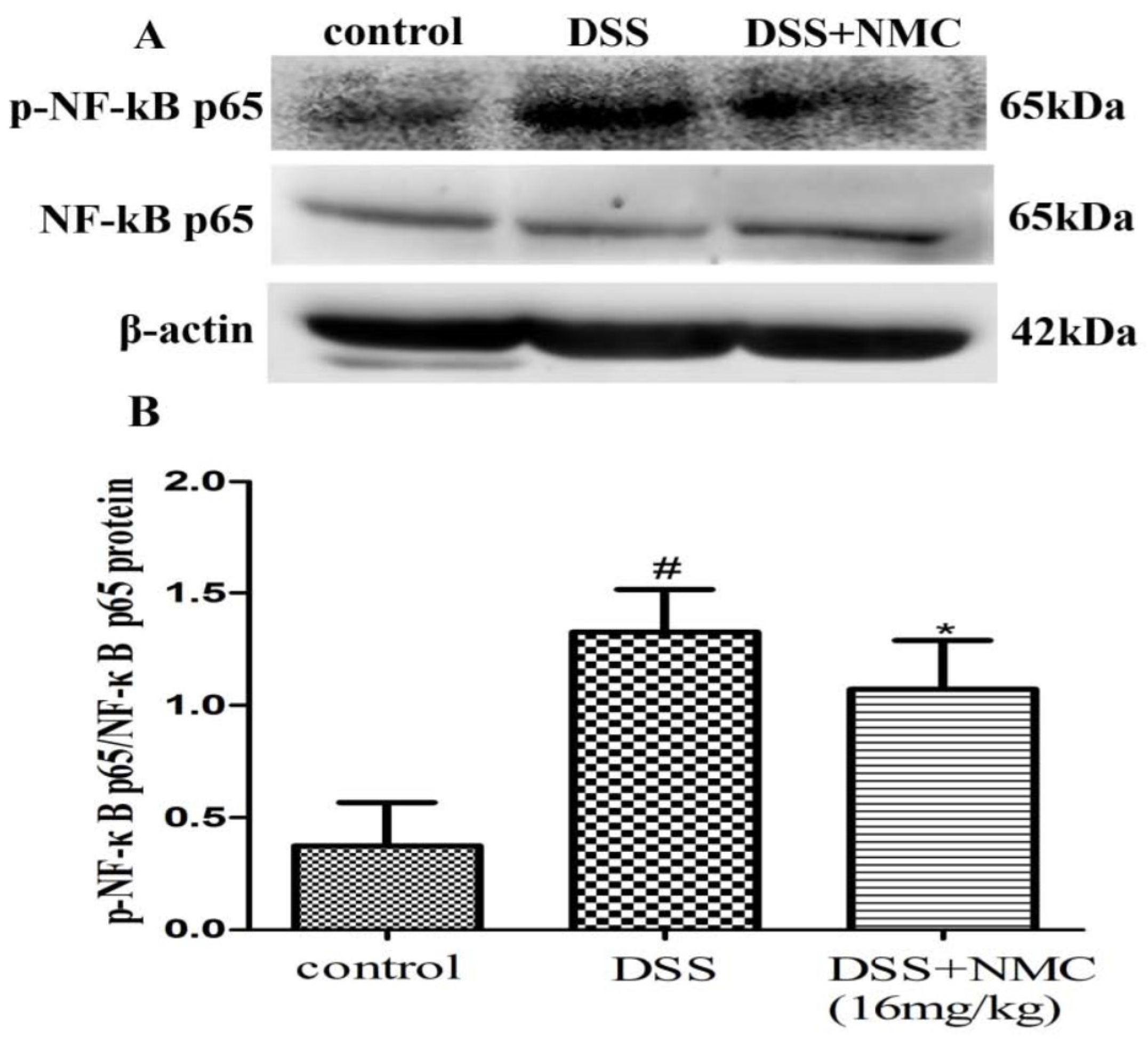 Molecules 23 00510 g008