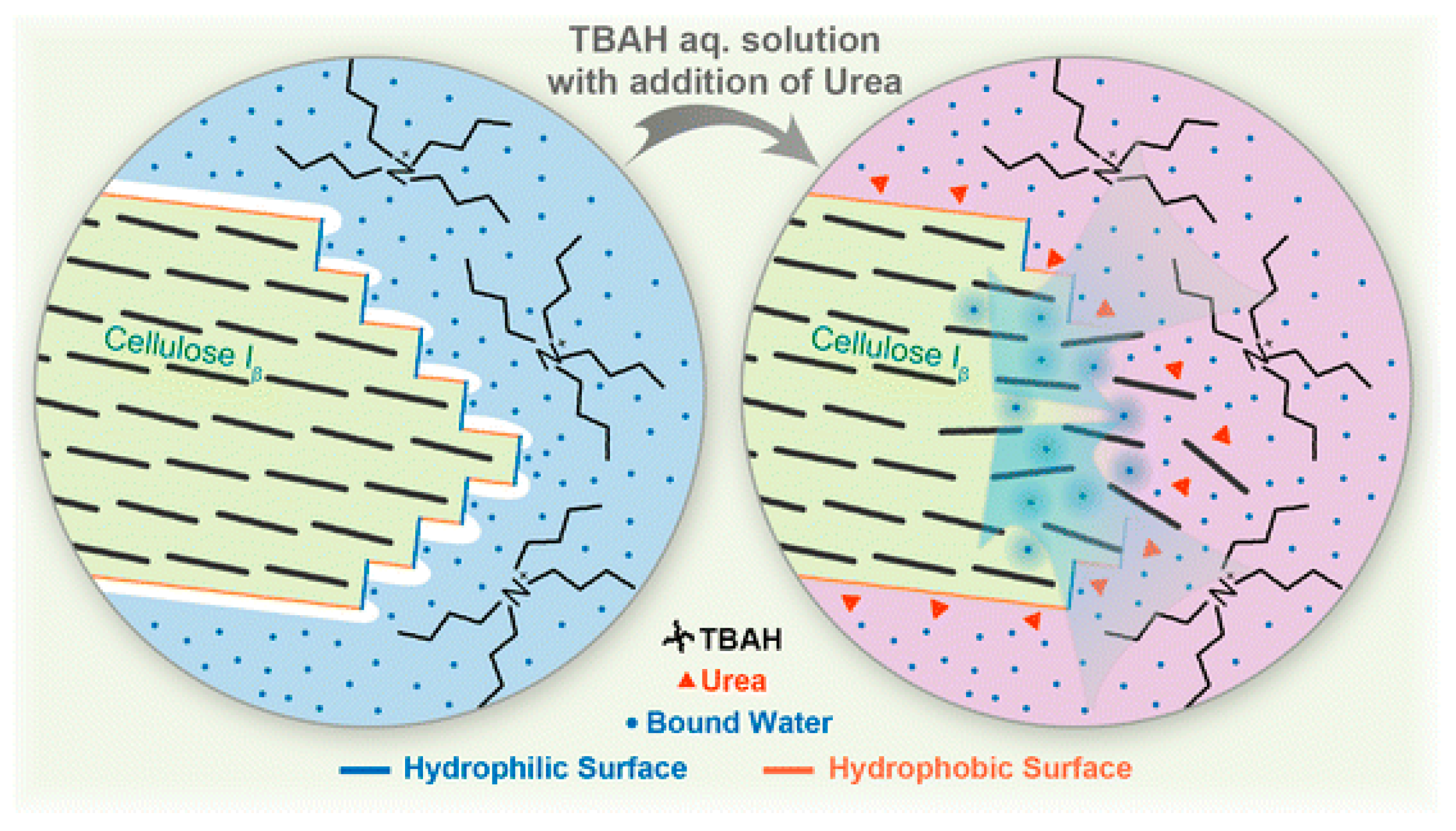 Molecules 23 00511 g008