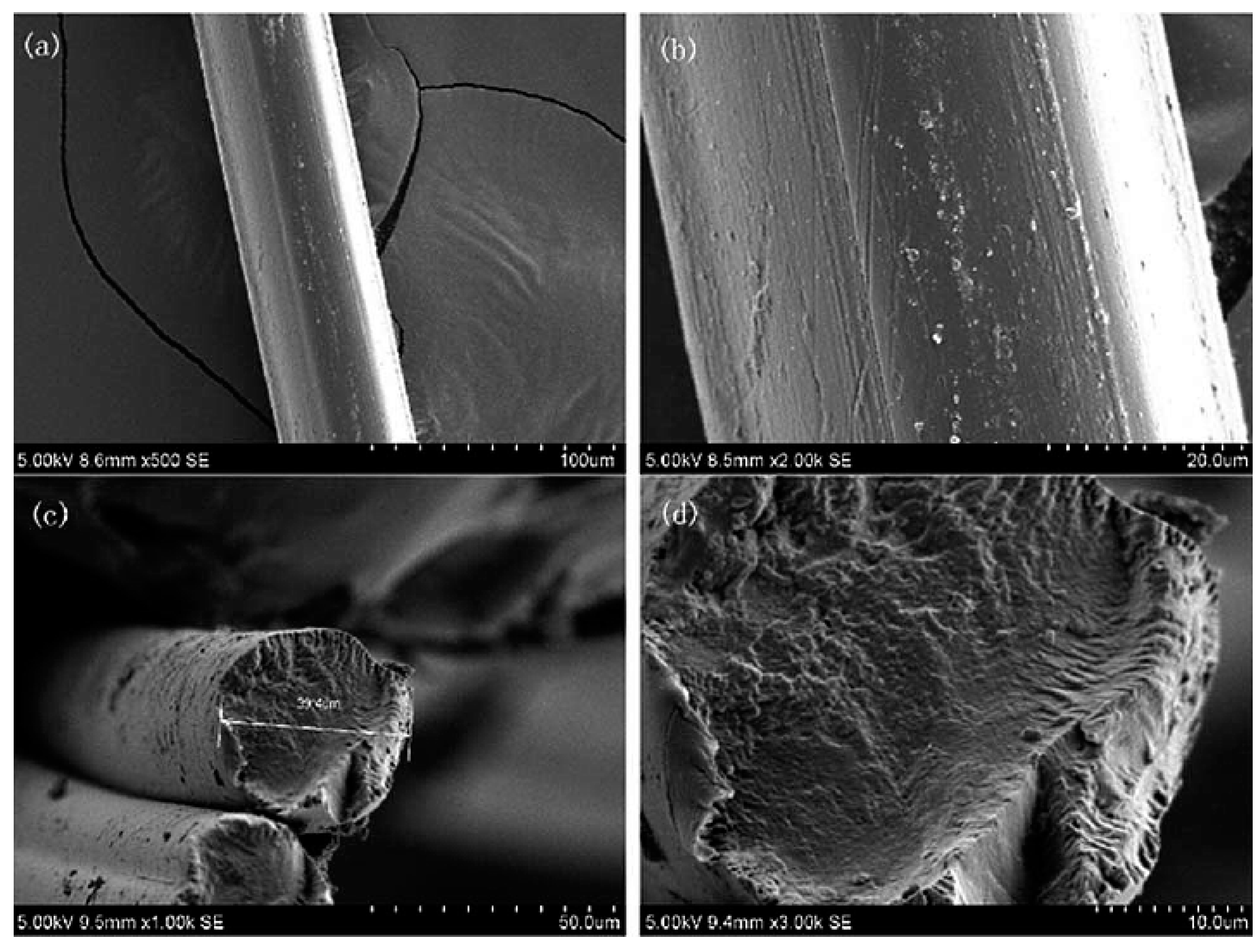 Molecules 23 00511 g009