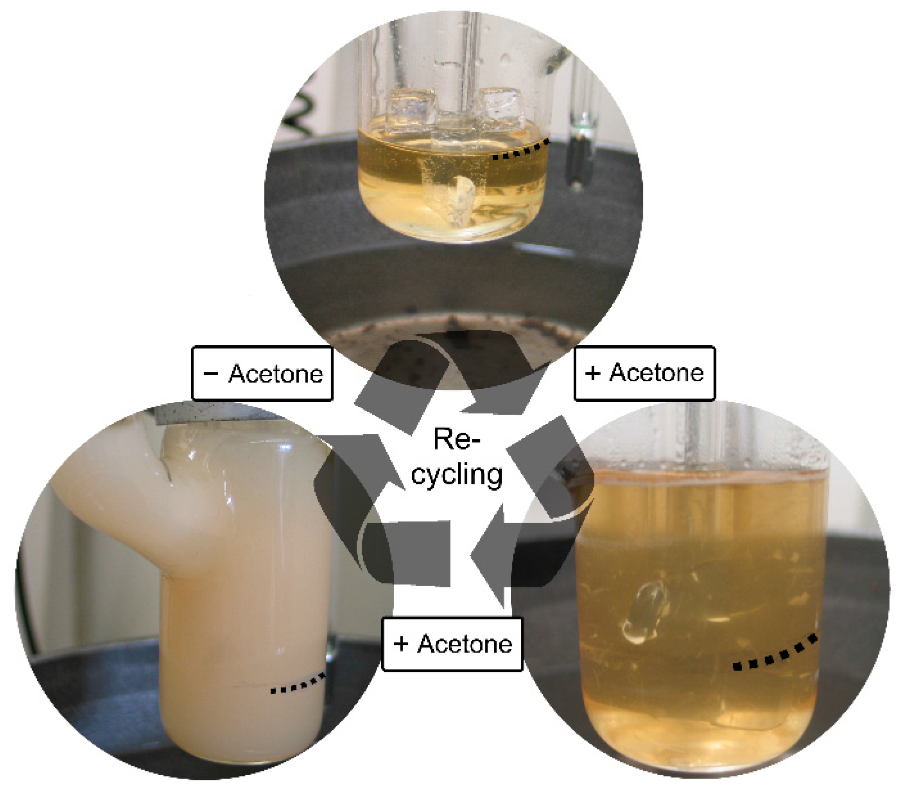 Molecules 23 00511 g011