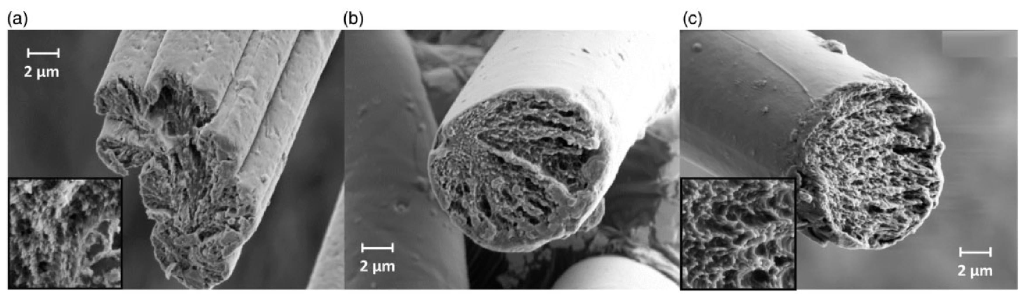 Molecules 23 00511 g015