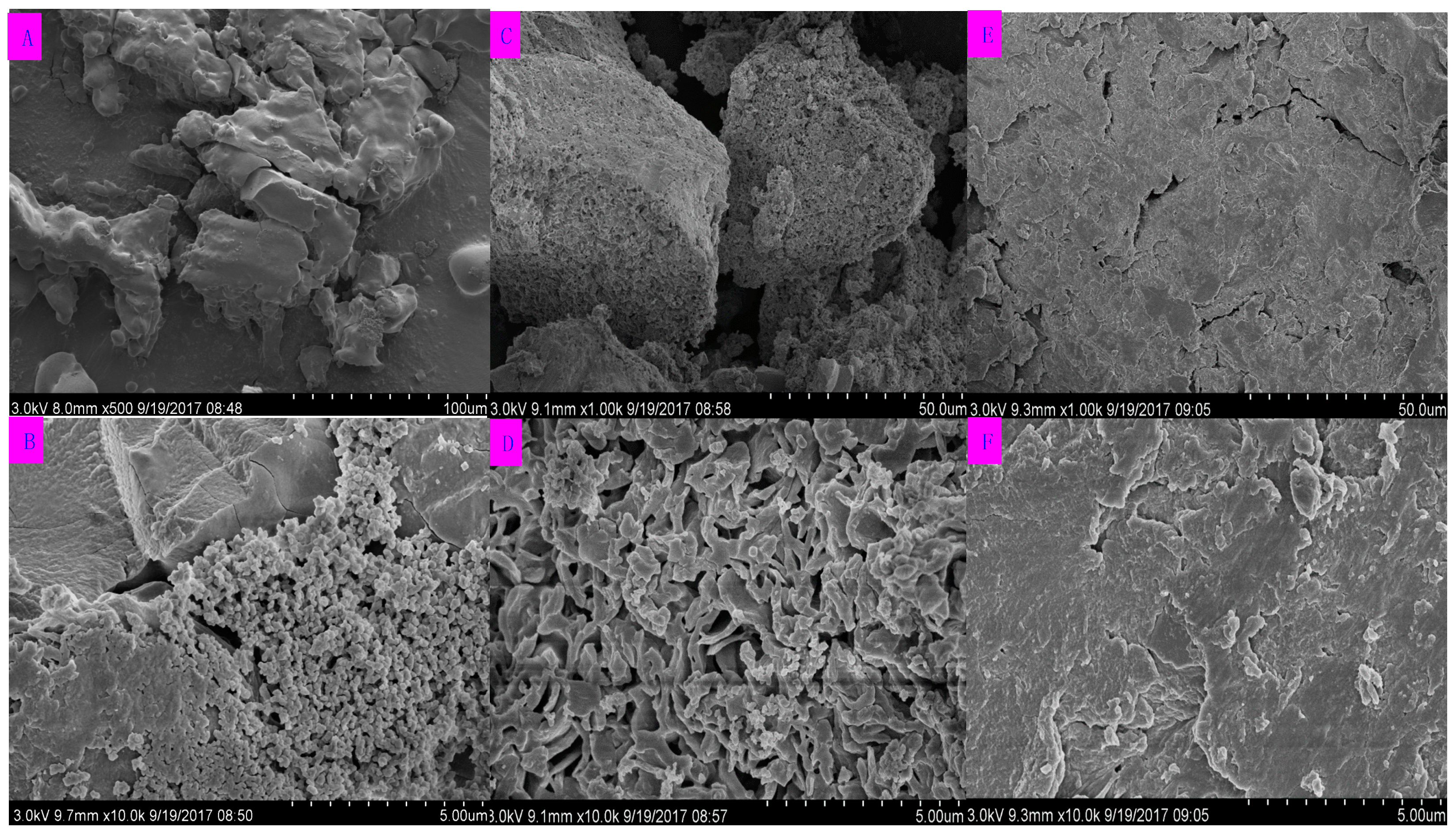 Molecules 23 00516 g004 Molecules 23 00516 g004
