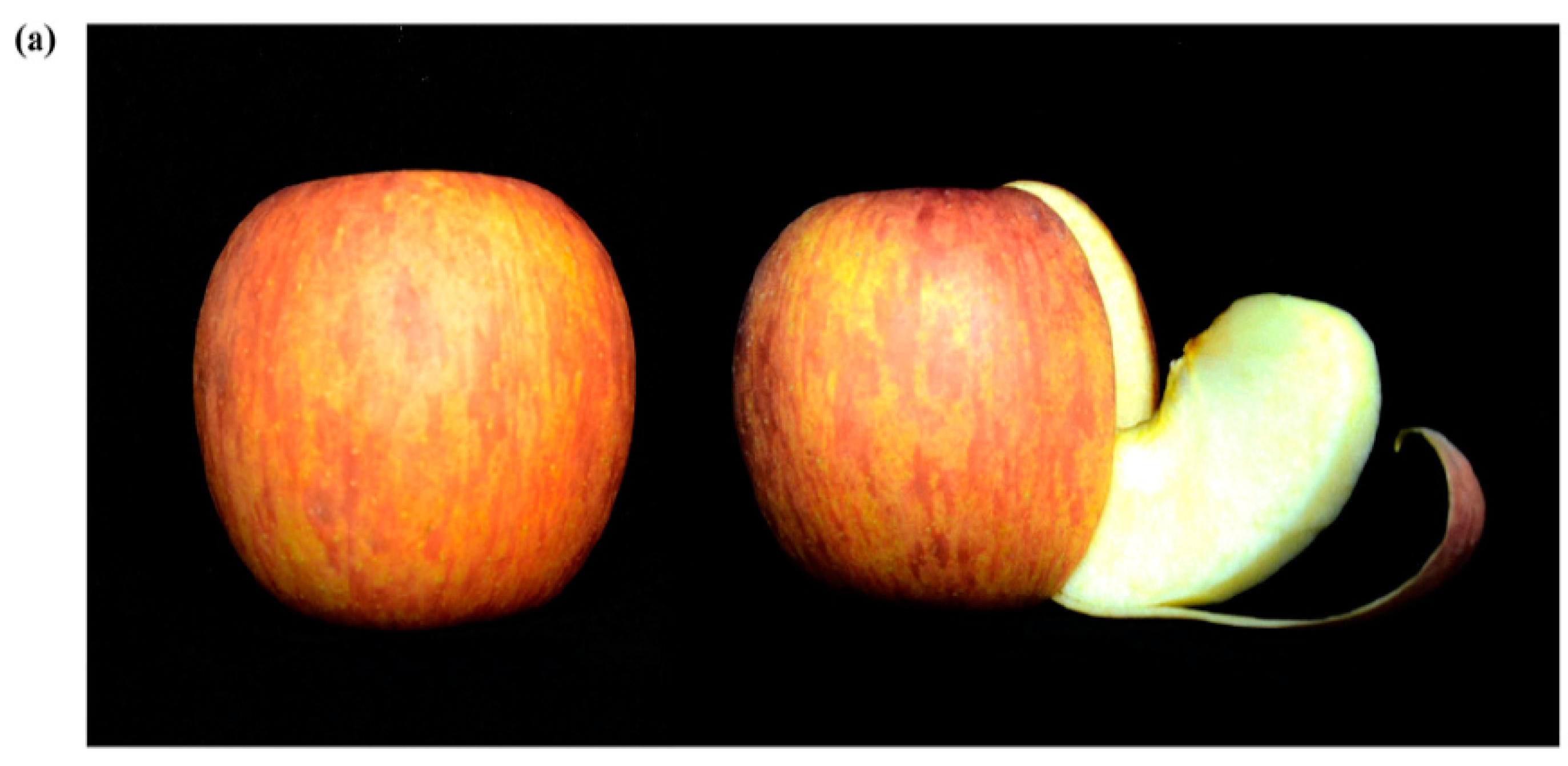 Molecules 23 00521 g001a