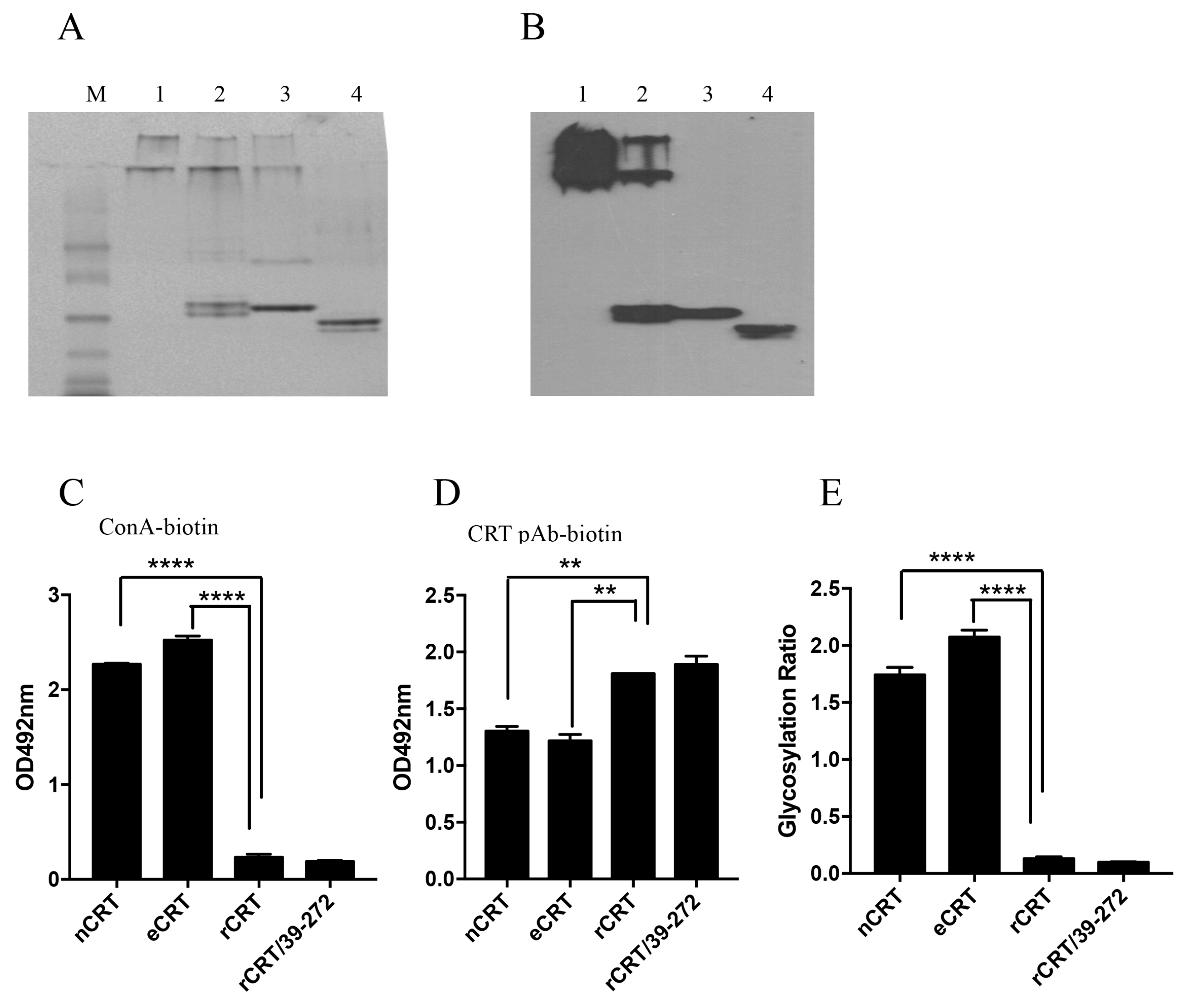 Molecules 23 00523 g003