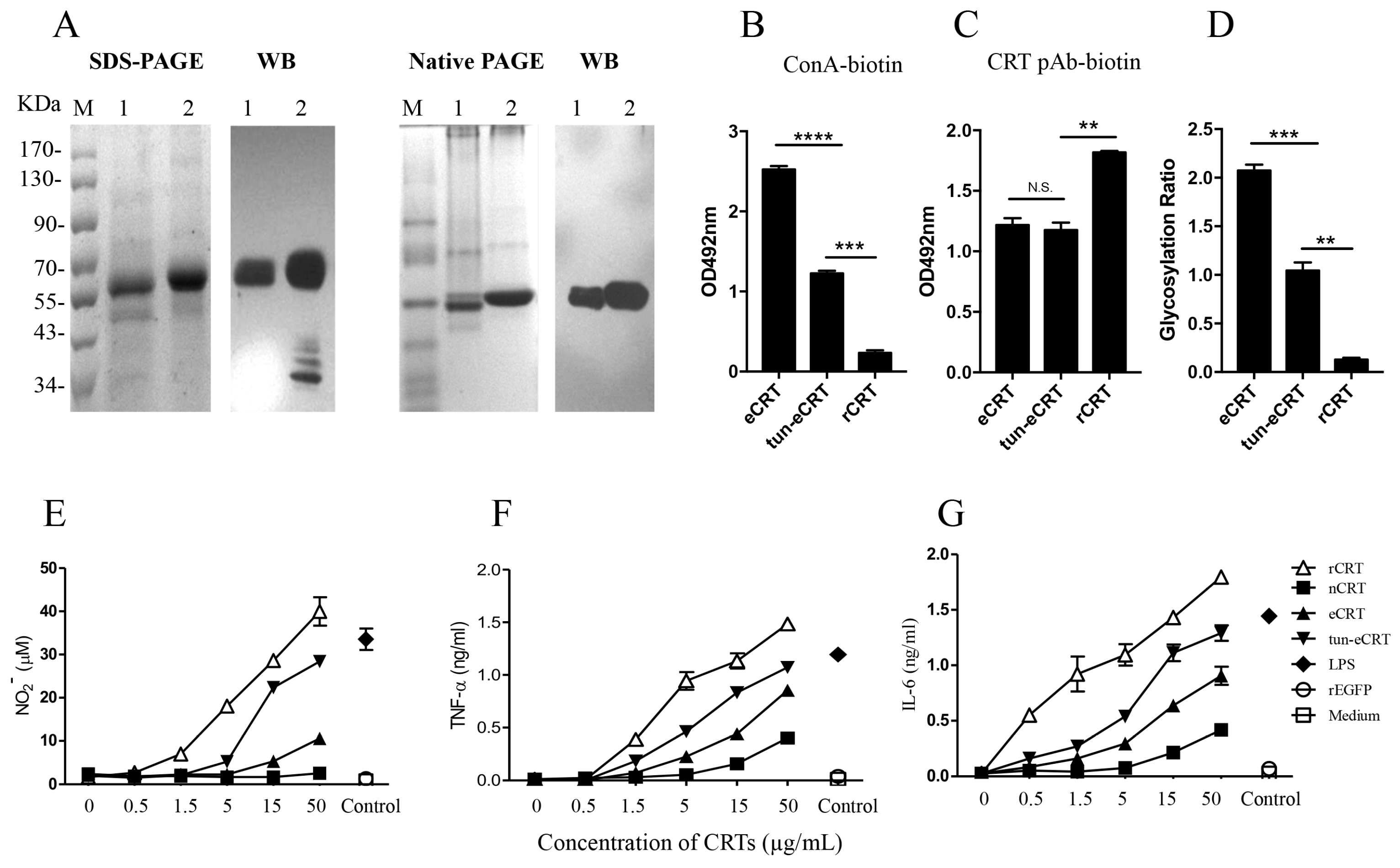 Molecules 23 00523 g004