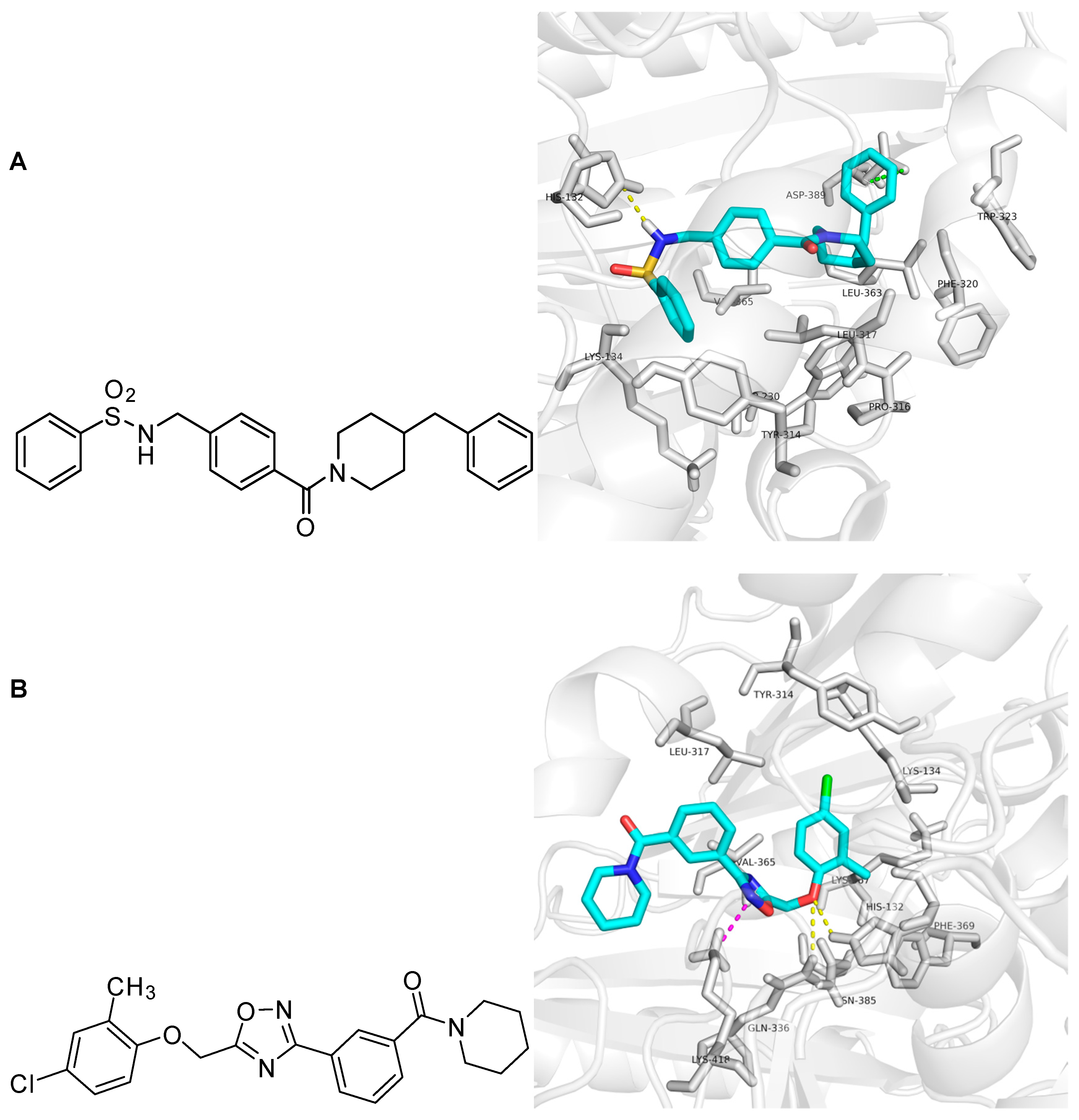 Molecules 23 00524 g005