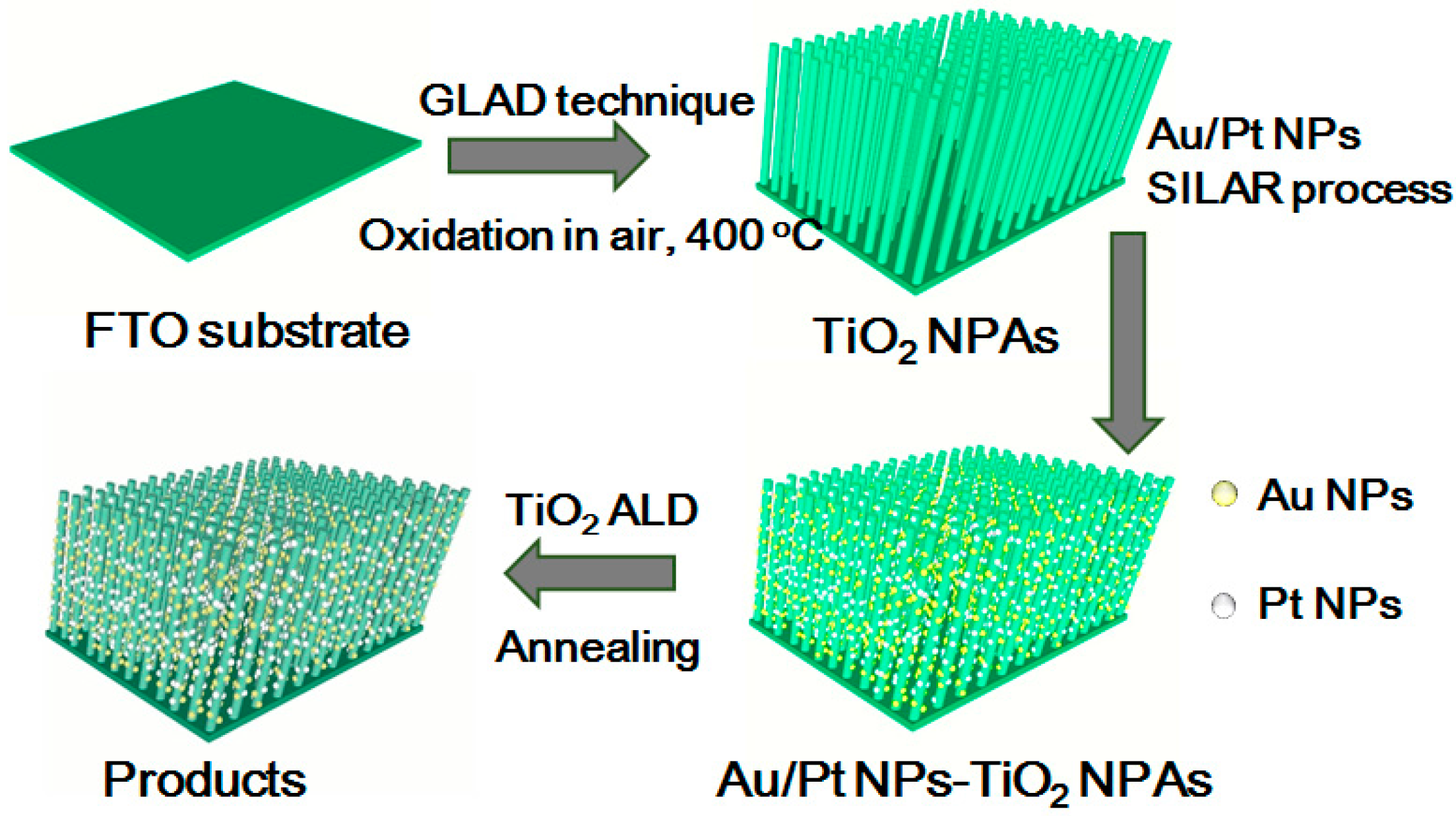 Molecules 23 00525 g001