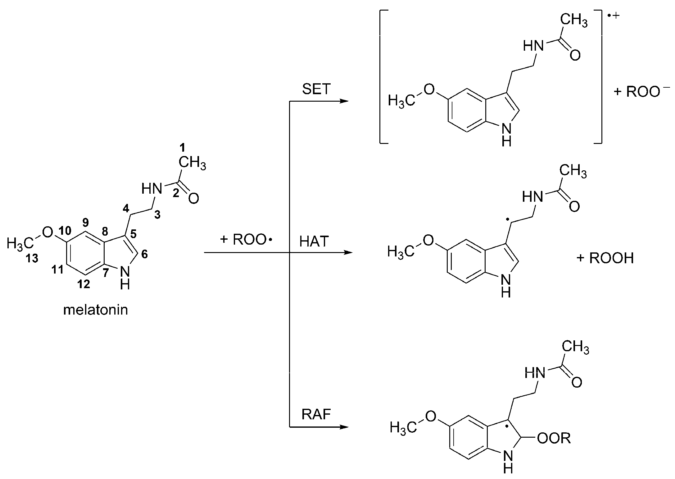 Molecules 23 00530 sch002