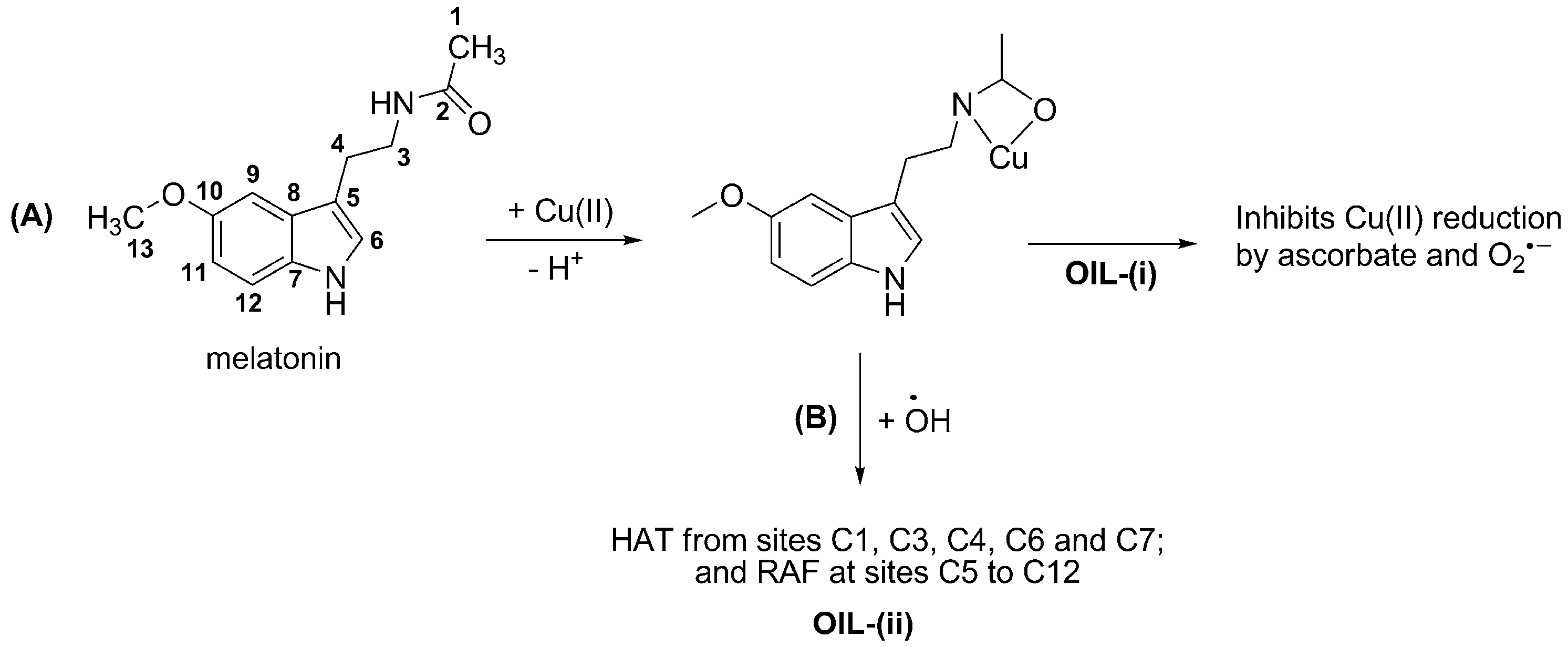 Molecules 23 00530 sch003