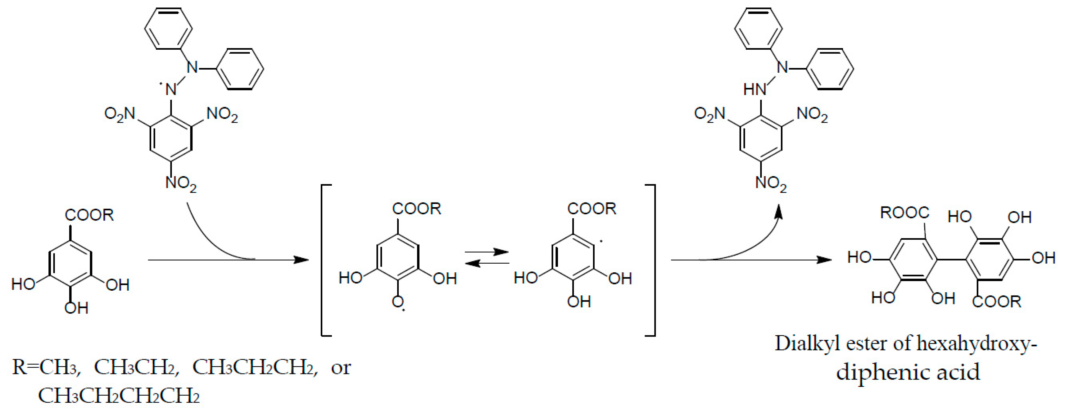 Molecules 23 00552 g007 Molecules 23 00552 g007