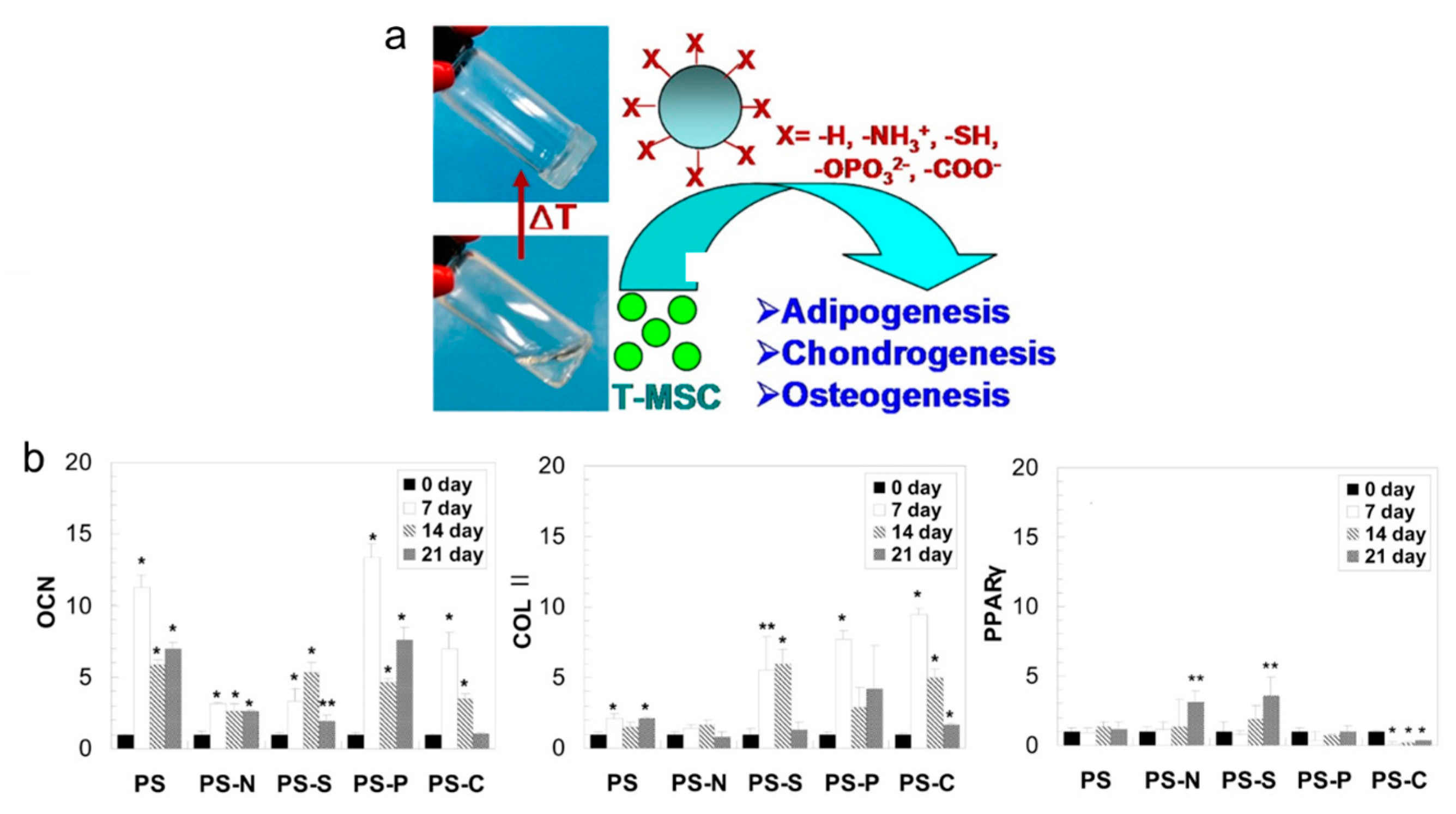 Molecules 23 00553 g005